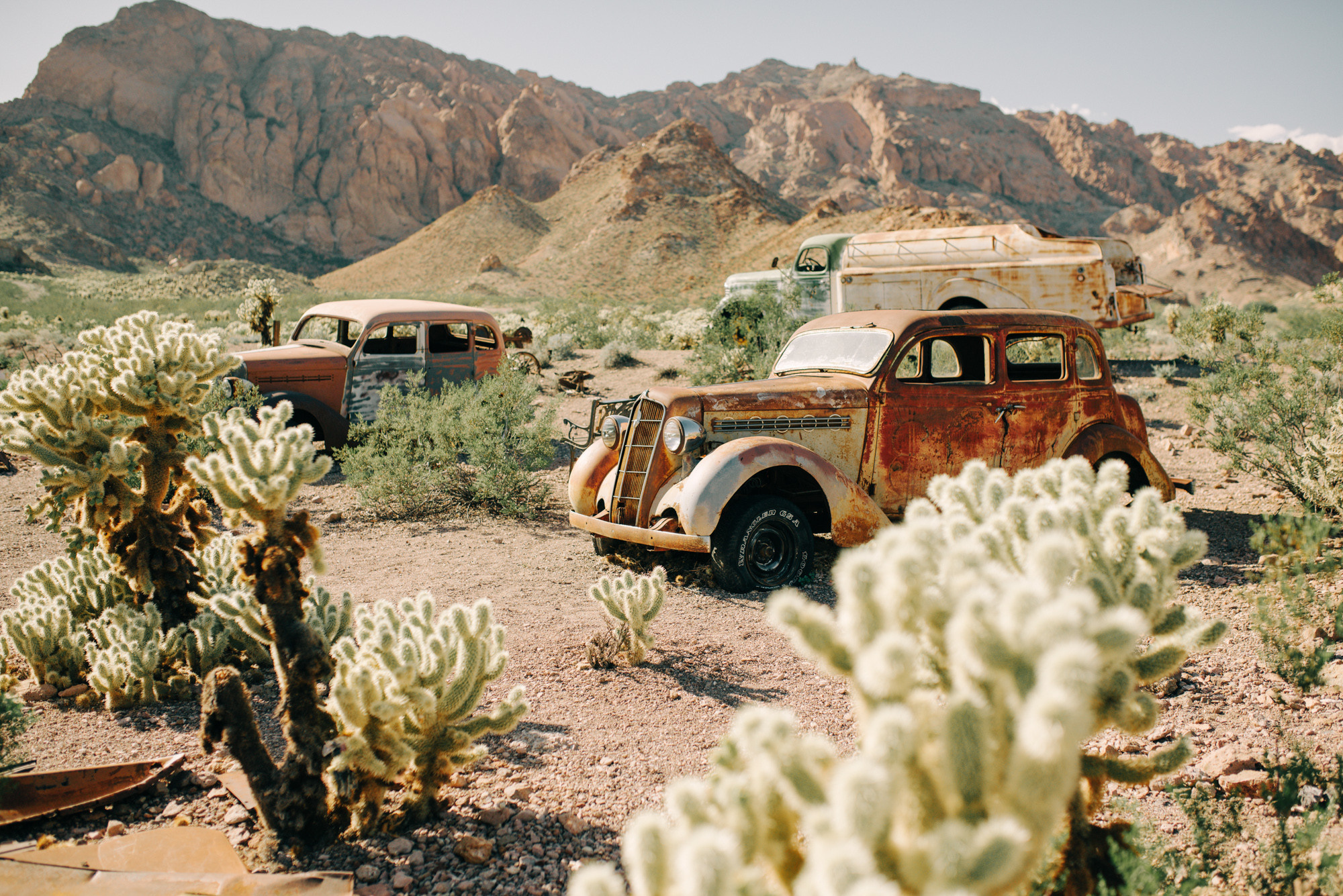 a desert with old cars and cactus plants