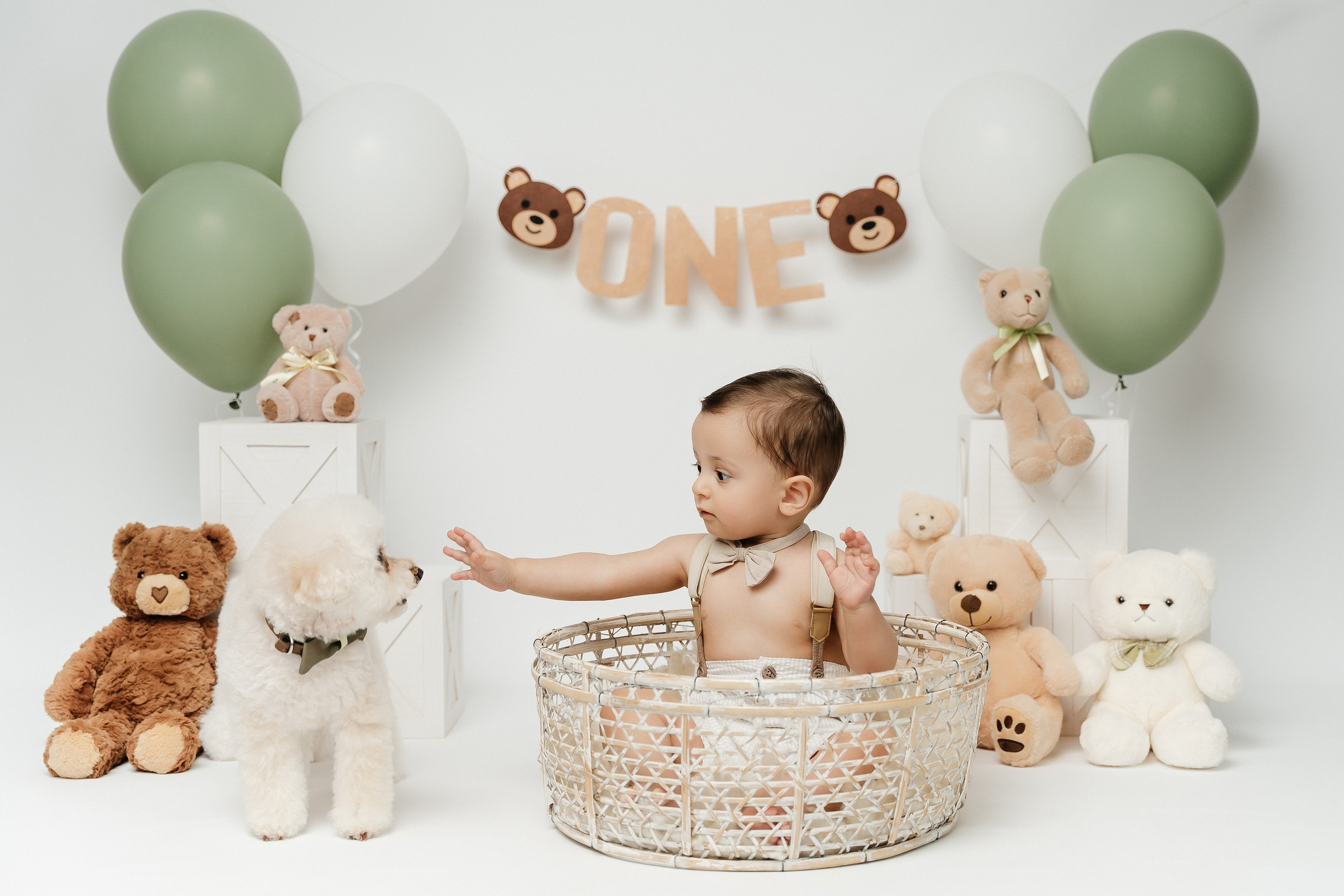 Teddy Bear One Year Cake Smash Photos. Newborn and family photographer. Hills District. Sydney