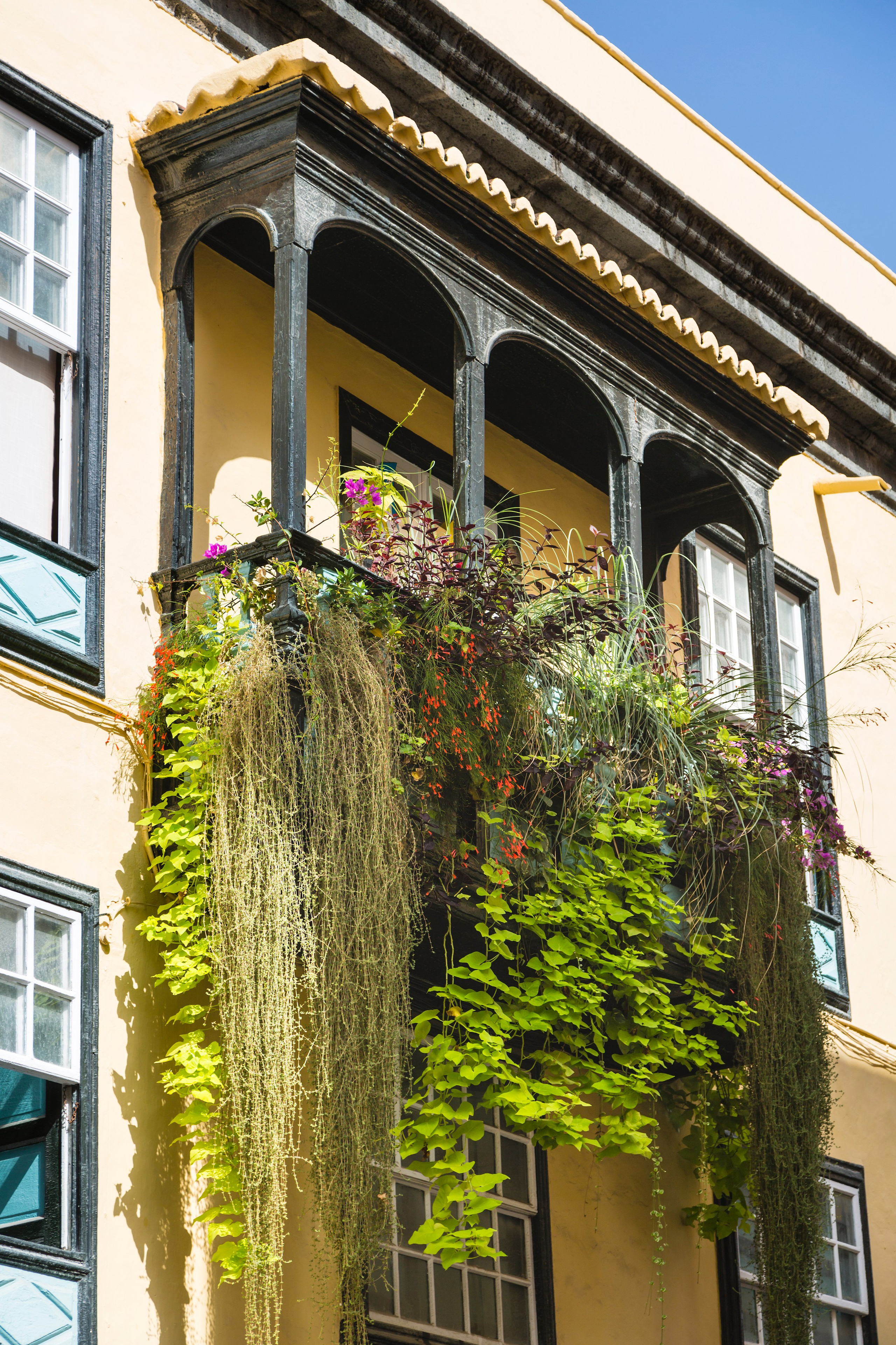 Geoponitikon-Όταν η Επιστήμη συναντά την Τέχνη στο Φυσικό Τοπίο!