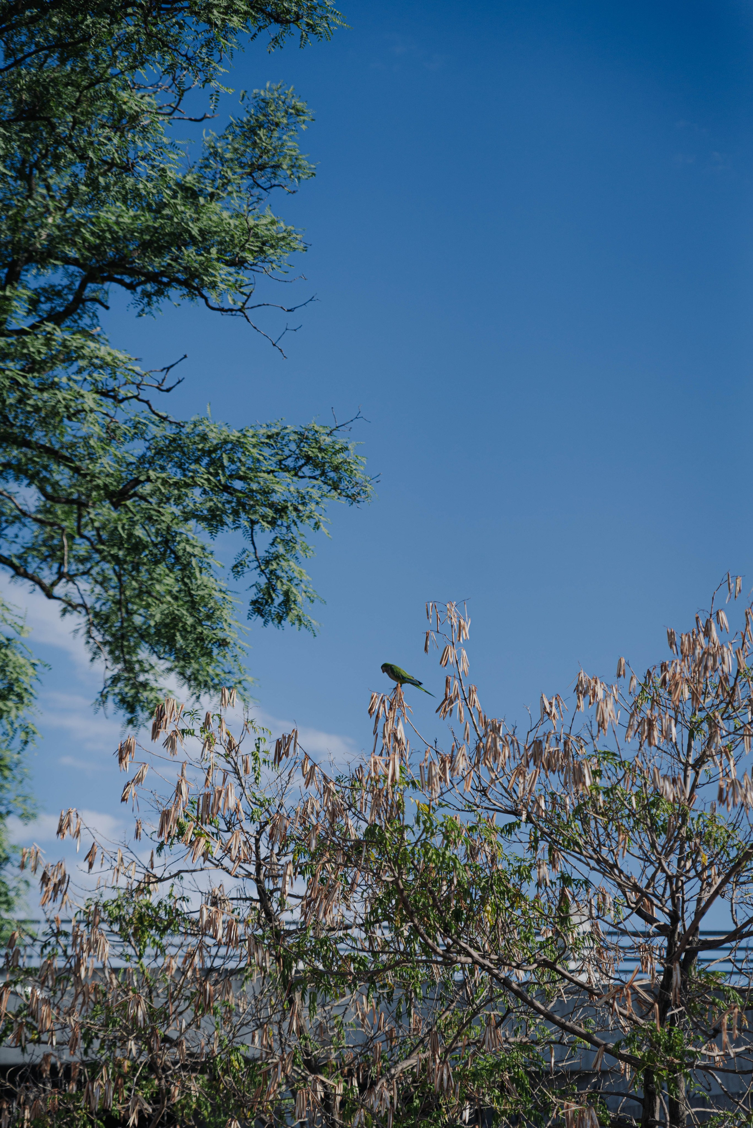 Гости из Мар-Дель-Платы. Фотограф @elmirkami в городе Буэнос-Айрес