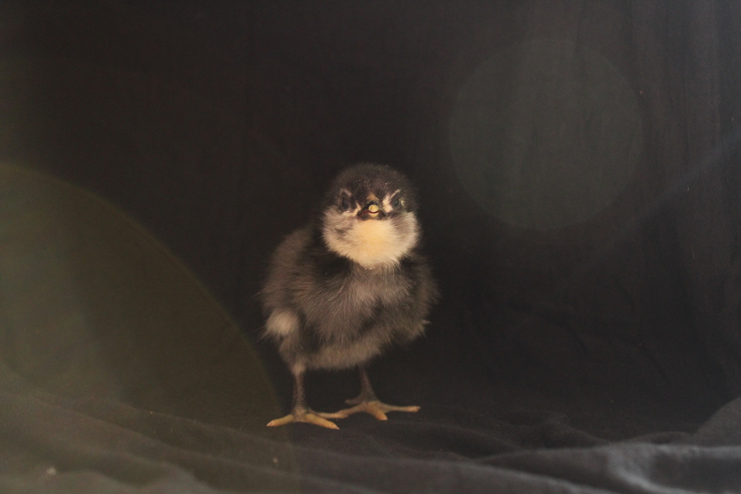 Dopo la pioggia, arriva il sole. Stanislava Novgorodtseva — Photographer | Visual Artist | Educator