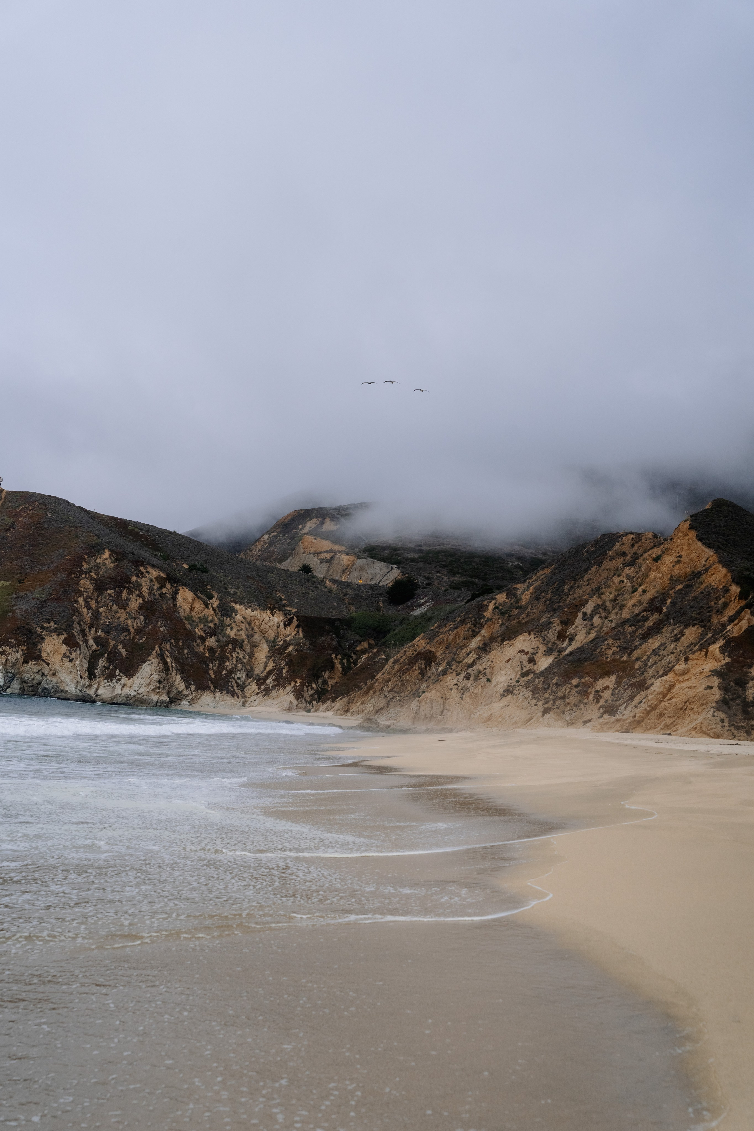 Barbarica. Photography