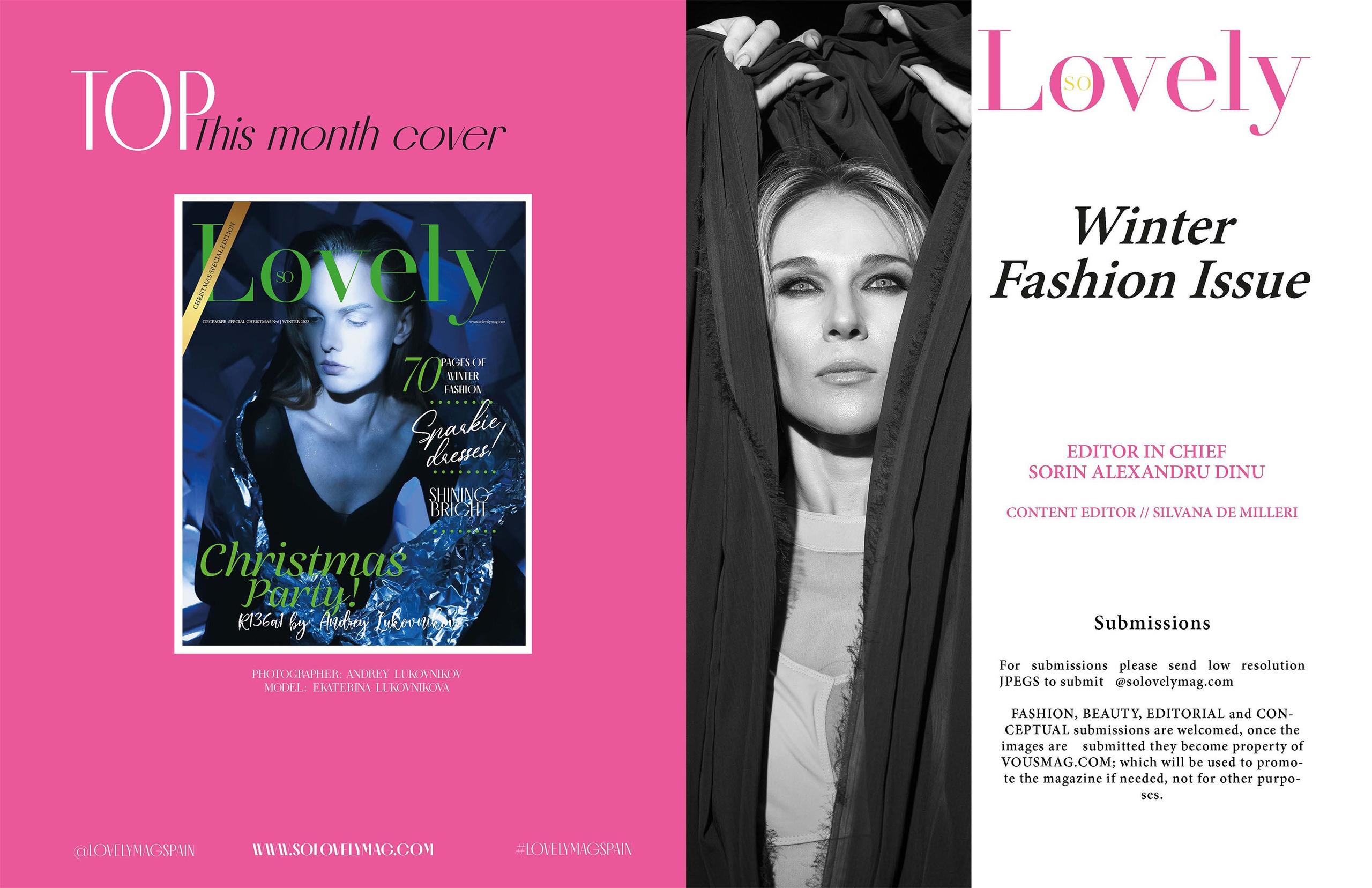 The best publications of the project R136a1