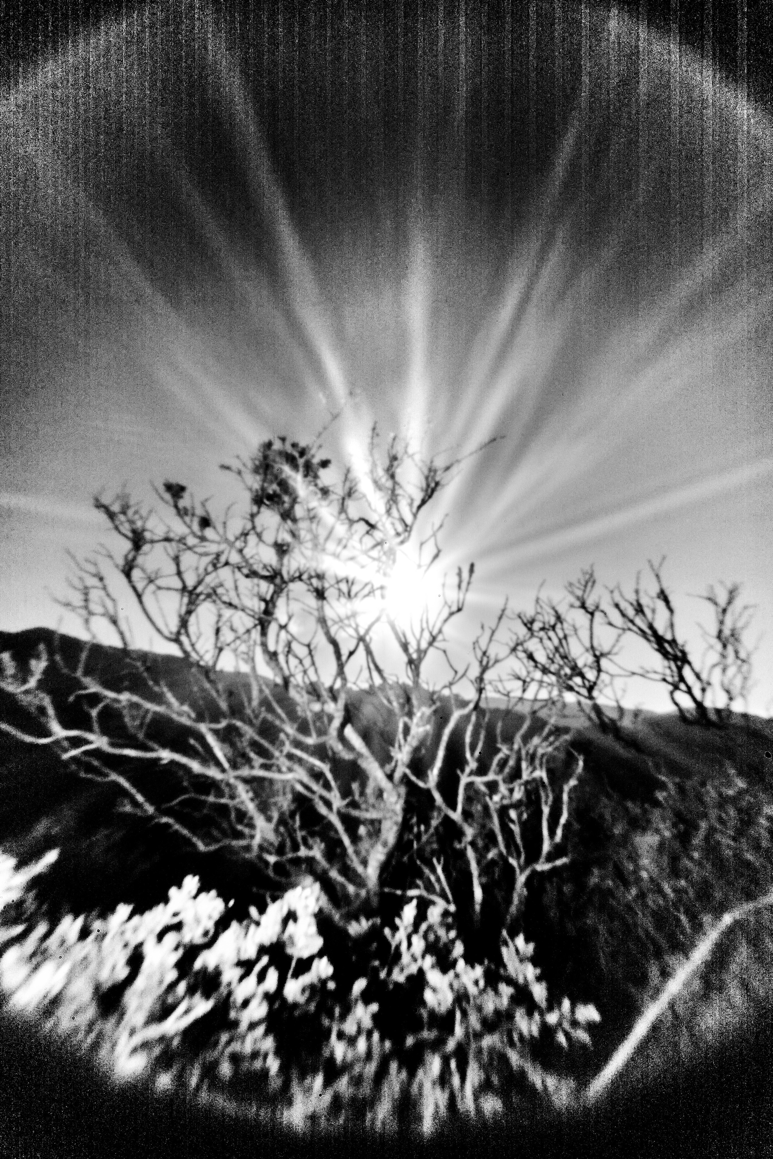 Entrance to the void. GLISH ART — Timofey Glinin & Anastasia Shubina