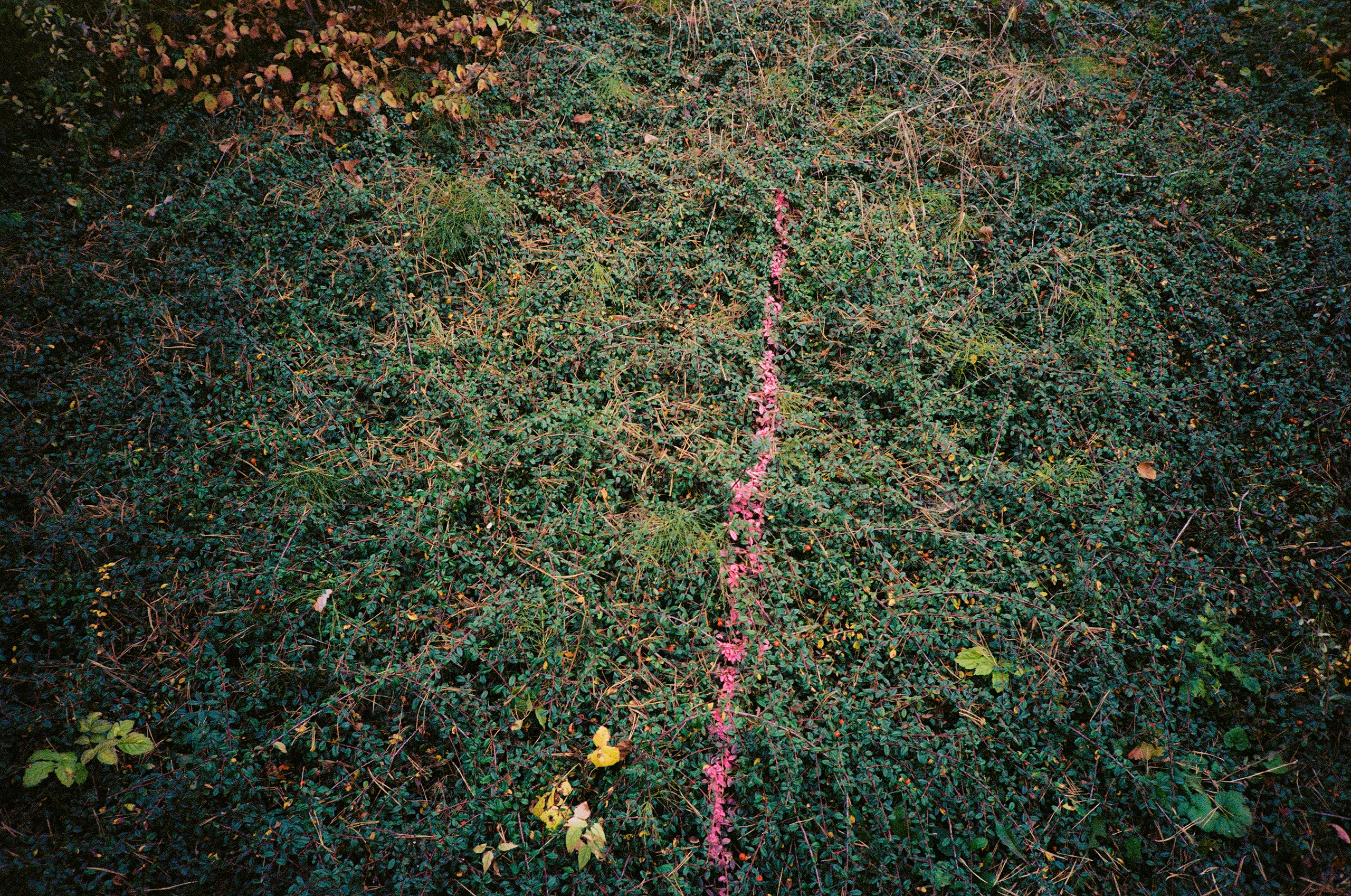 Projects. Photographer and visual artist Irina Vovk