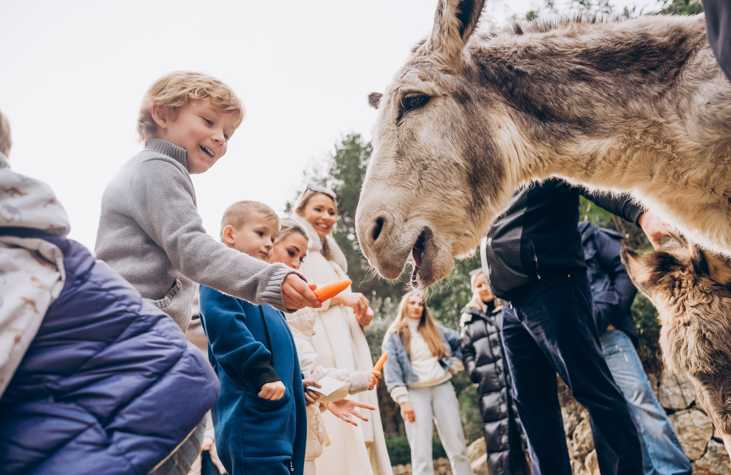 Gender party. Photographer in Mallorca