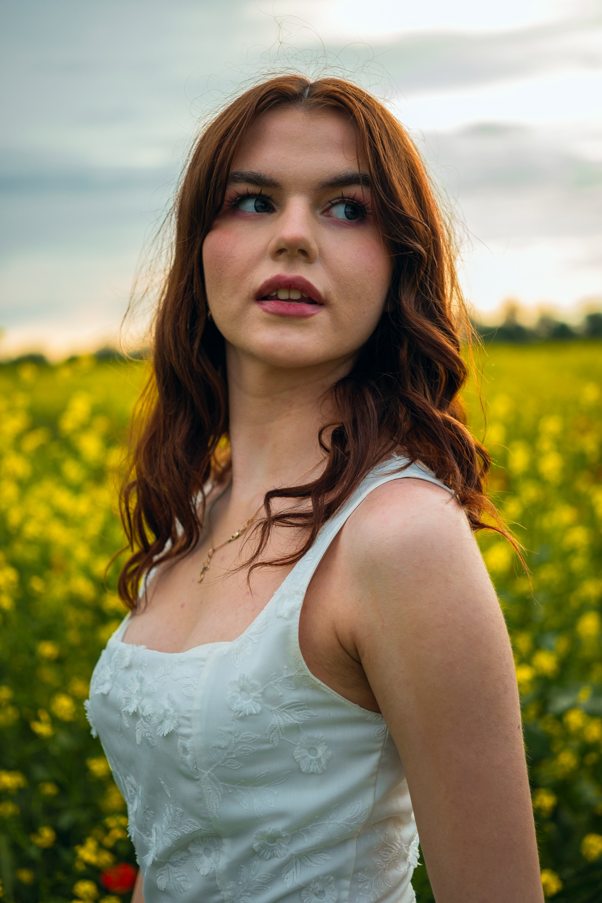 SIGMA 17-40mm F1.8