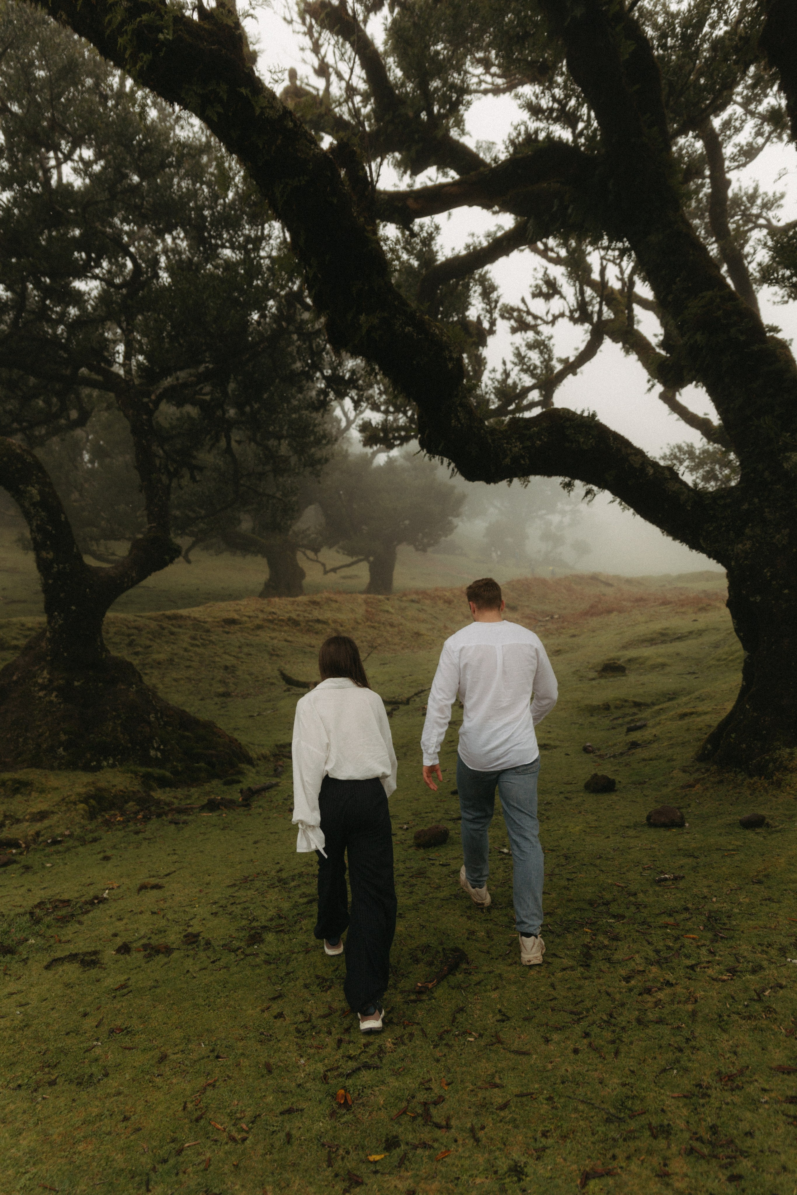 Magic of Fanal Forest. Wedding photographer and videographer based in Timisoara, Romania