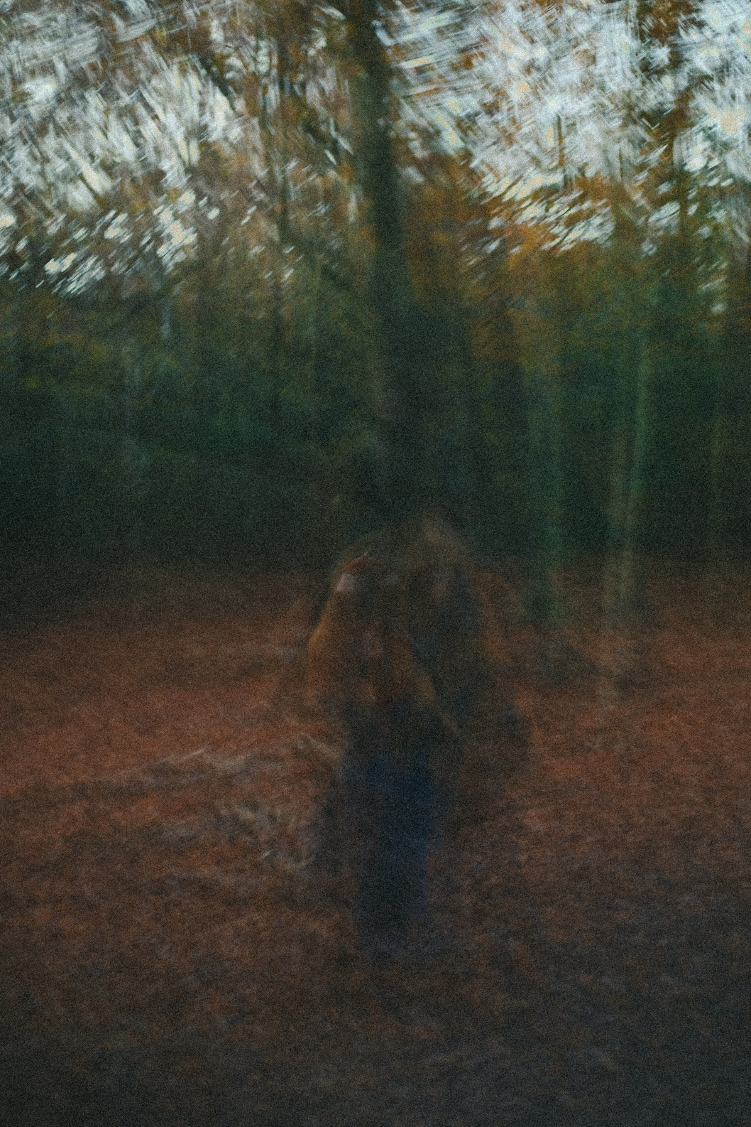 Zoe Hampstead Heath. Victoria Dini. Art photography in London / Folkestone, UK