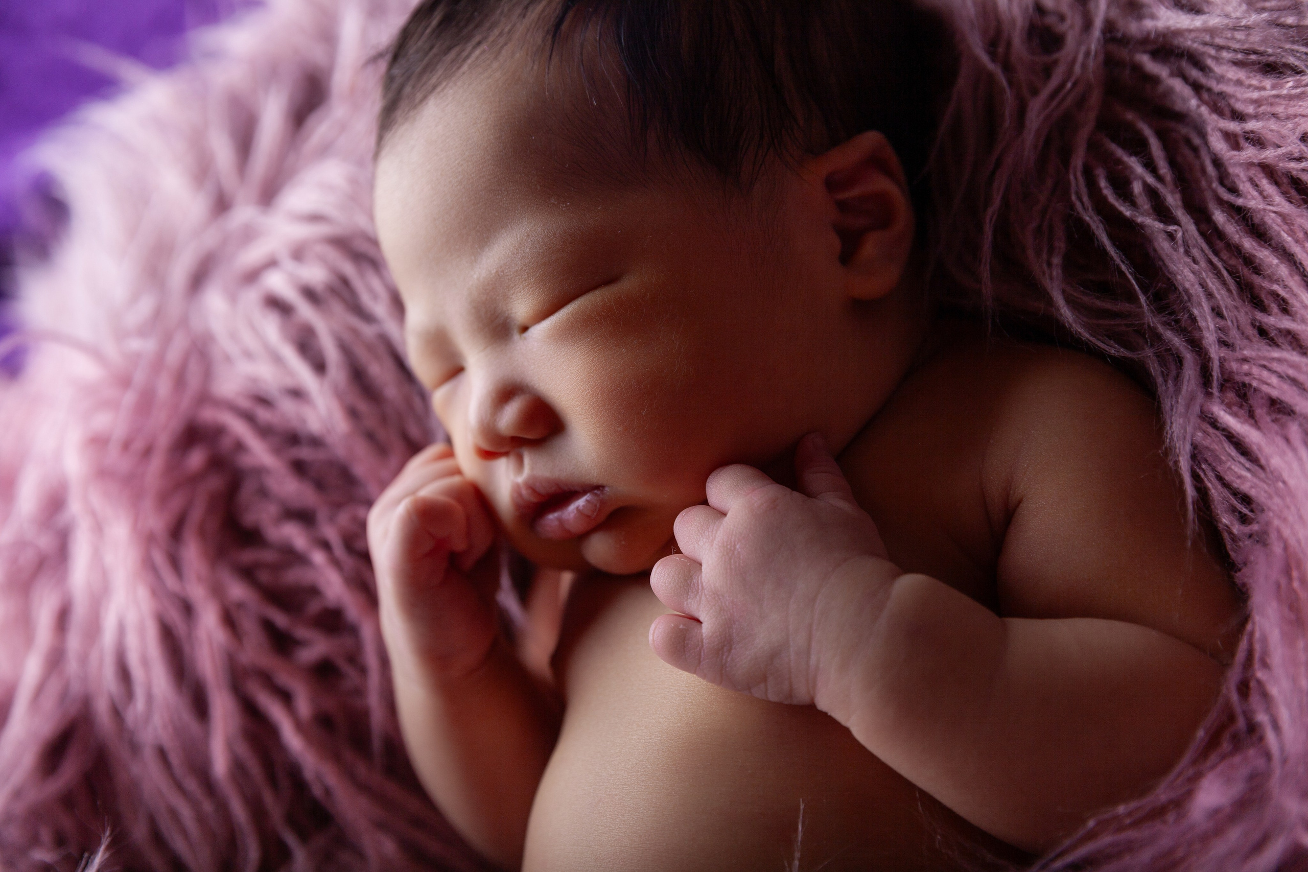 Services. Marina Pravda Photography San Francisco Bay Area