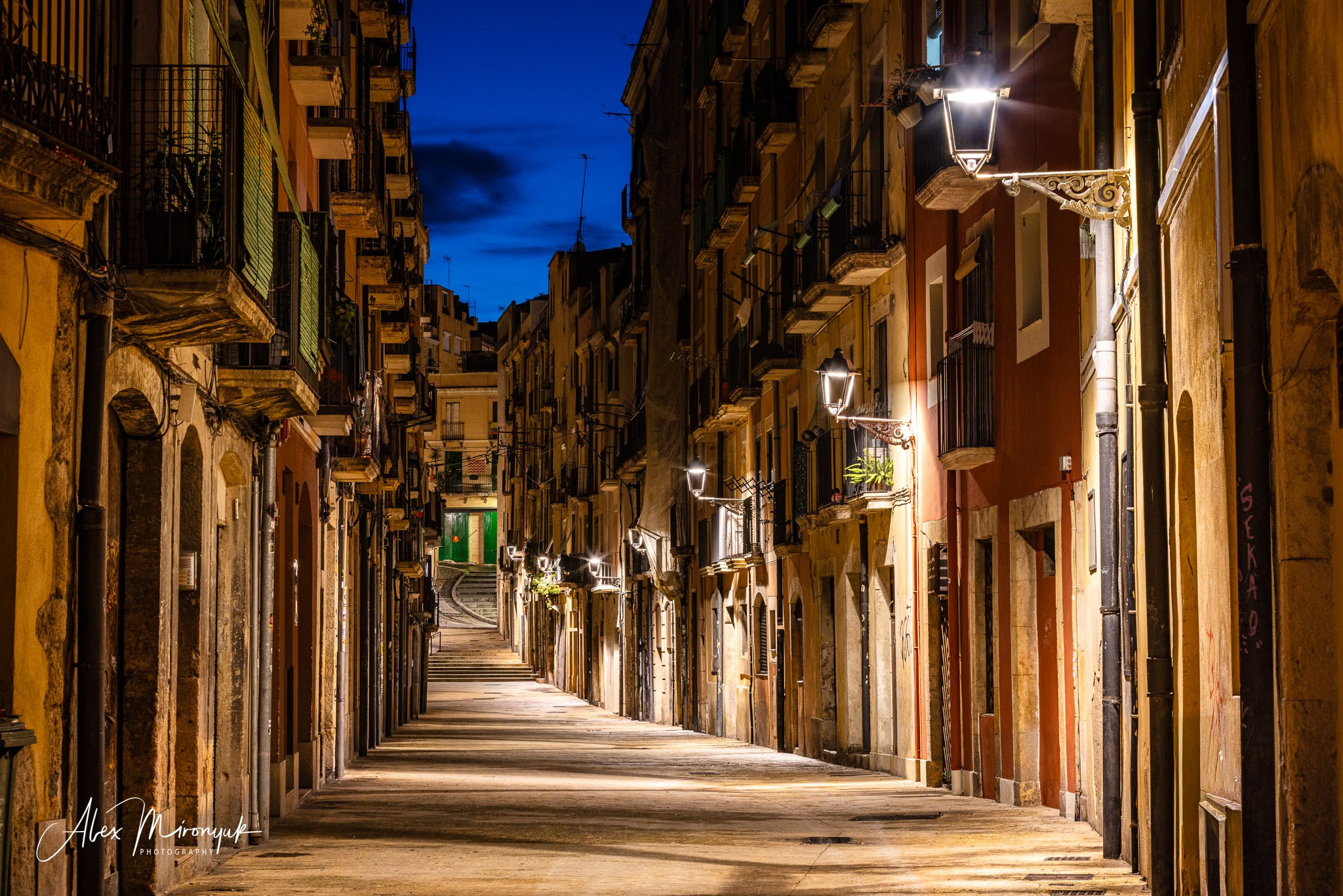 Catalonian Medieval Castles. Pet, Senior, Landscape, portrait studio, photographer in Miami and Sou