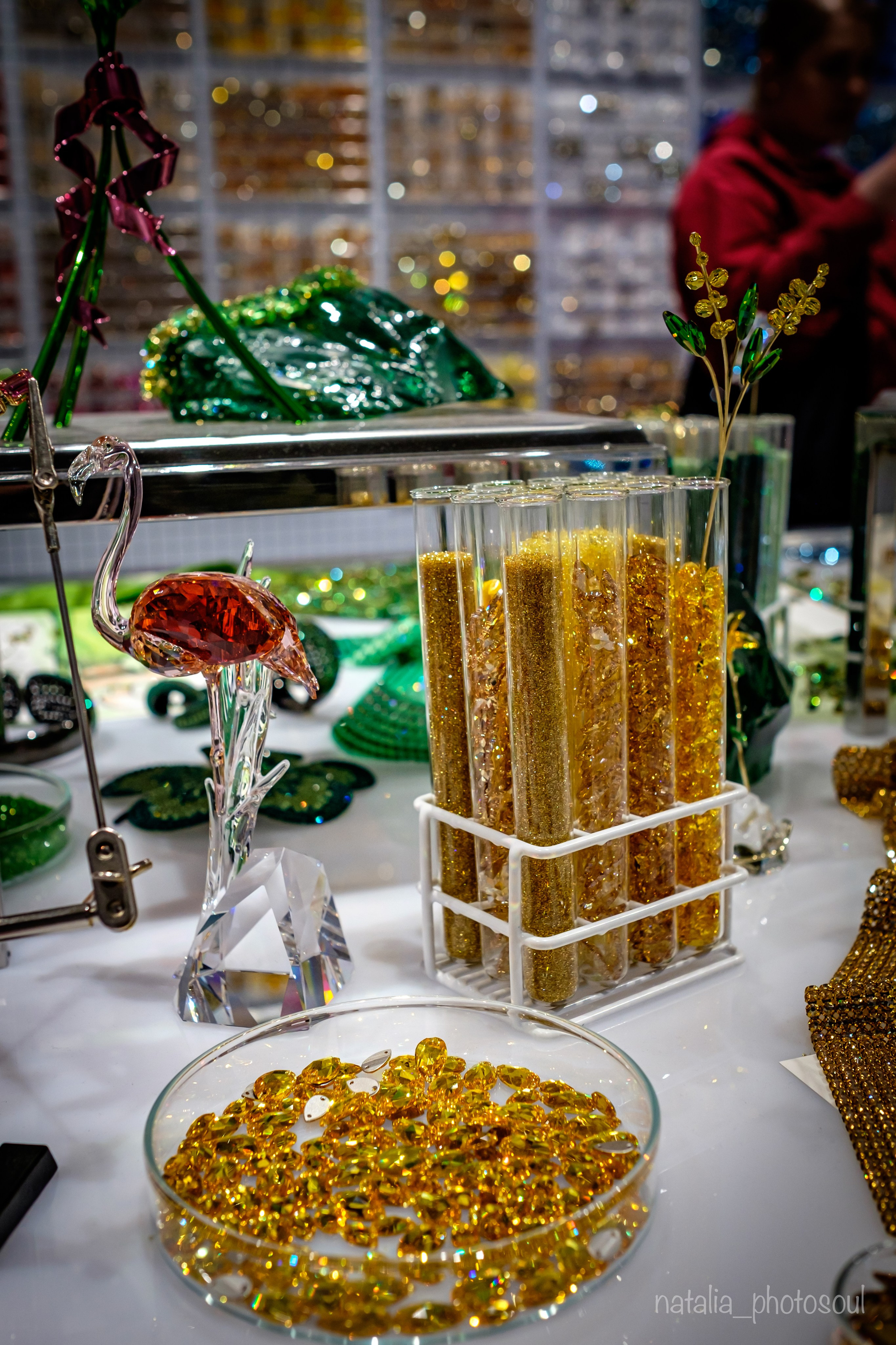 SWAROVSKI MASTERS OF LIGHT FROM VIENNA TO SEOUL. Photographer in Seoul Dobrokvashina Natalya