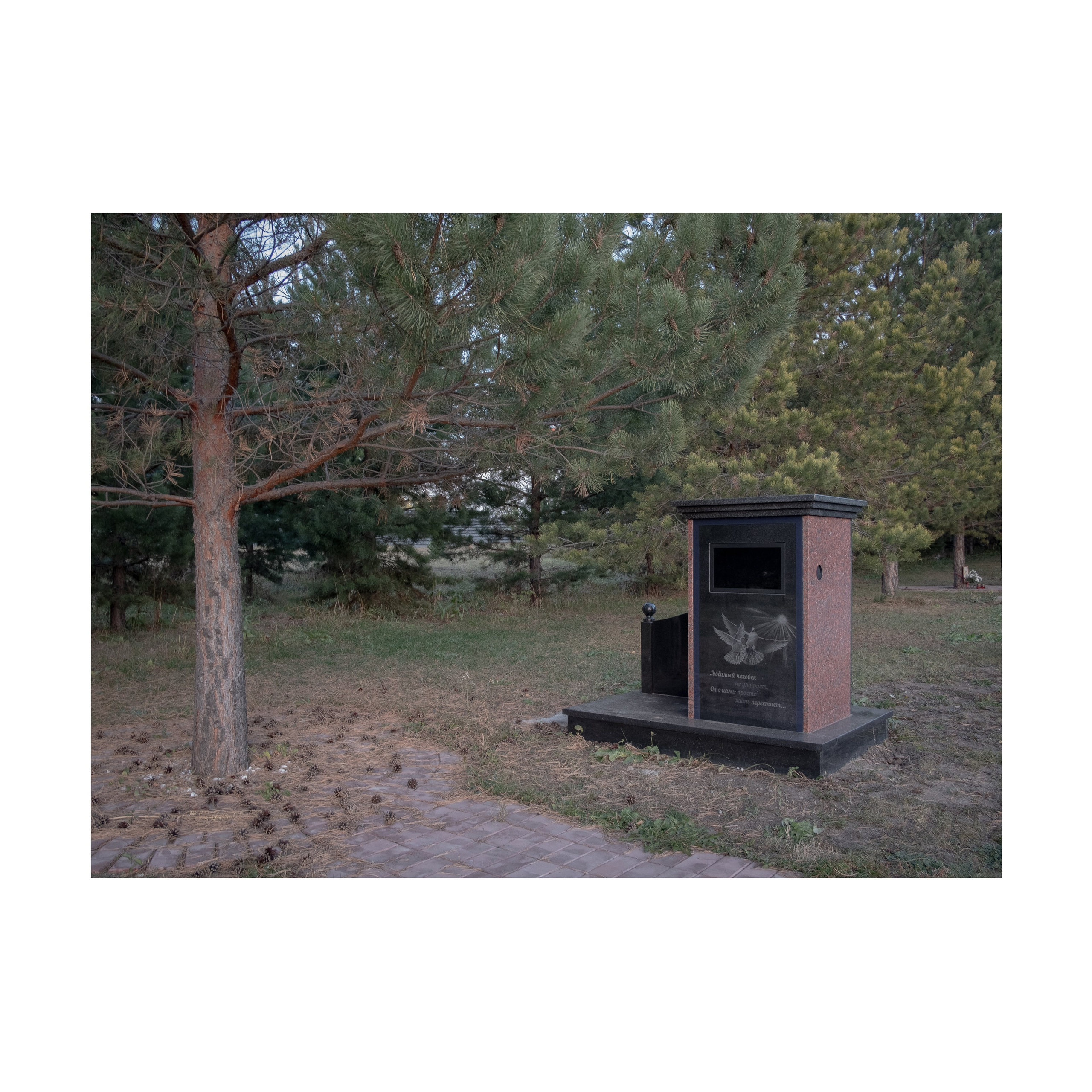 Phoenix. Nelly Elagina