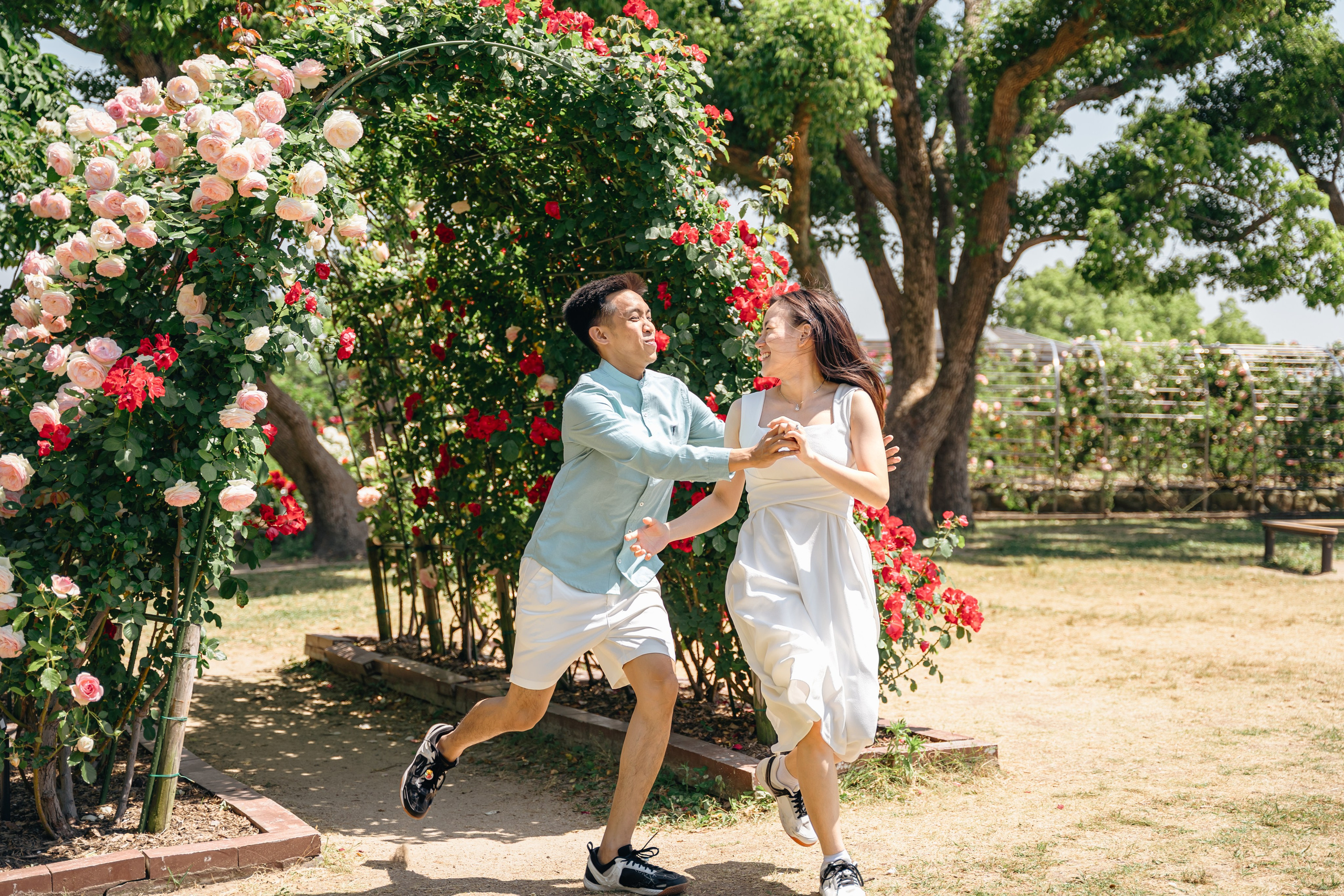 Fukuoka Couple Photoshoot: Roses, Totoro Forest & Sunset Love Story