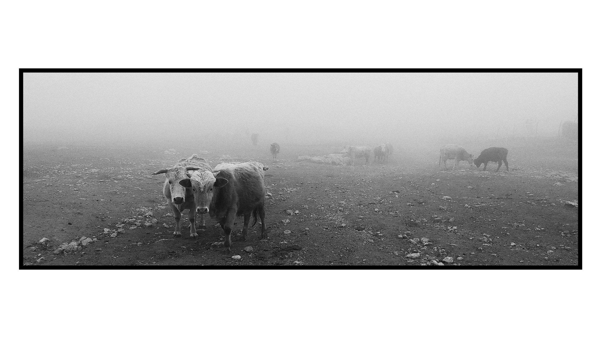 Dağ Kəndi Həyatı və Mənzərələri. Bakıda Peşəkar Tədbir, Love Story və Təbiət Fotoqrafı — Elşən Baba