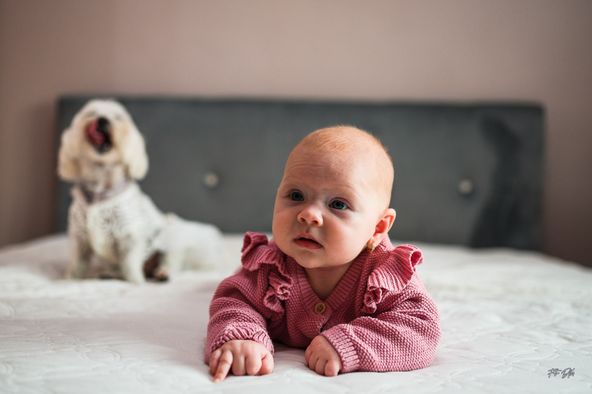 🌻 Maya Elena | Christening Day 🤍. Fotografie & Videografie de nuntă în Timișoara