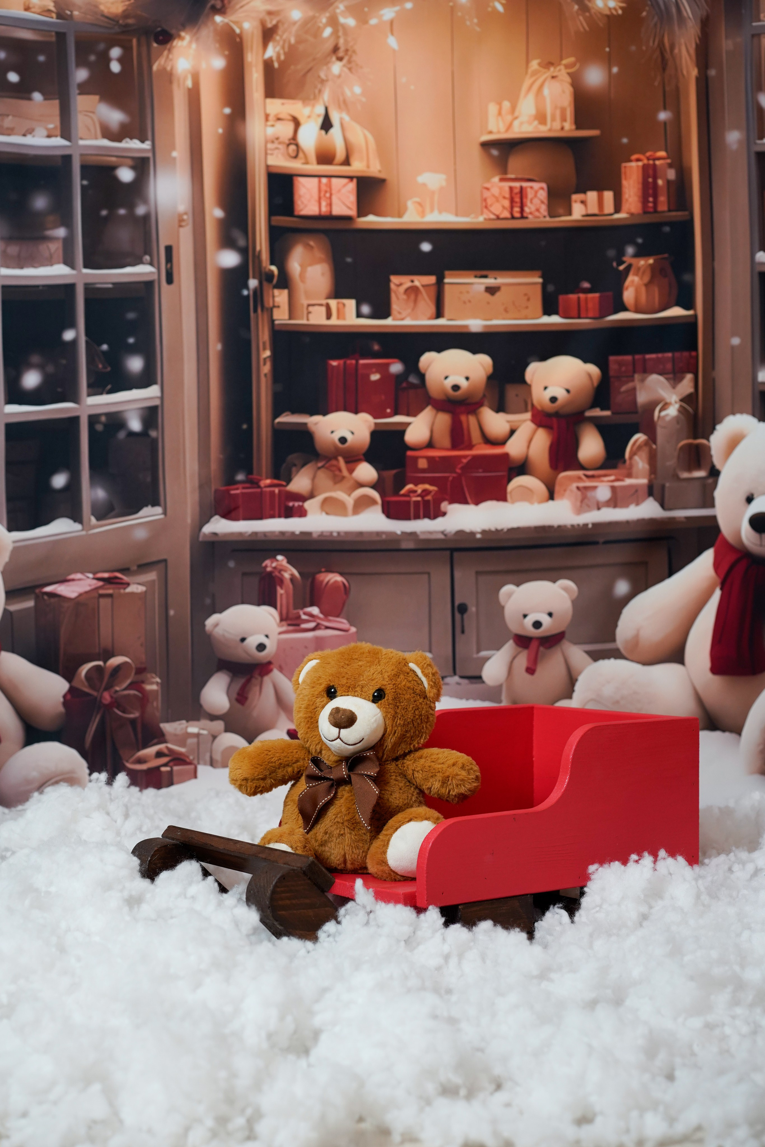 Sedinta foto Craciun. Cuibul foto