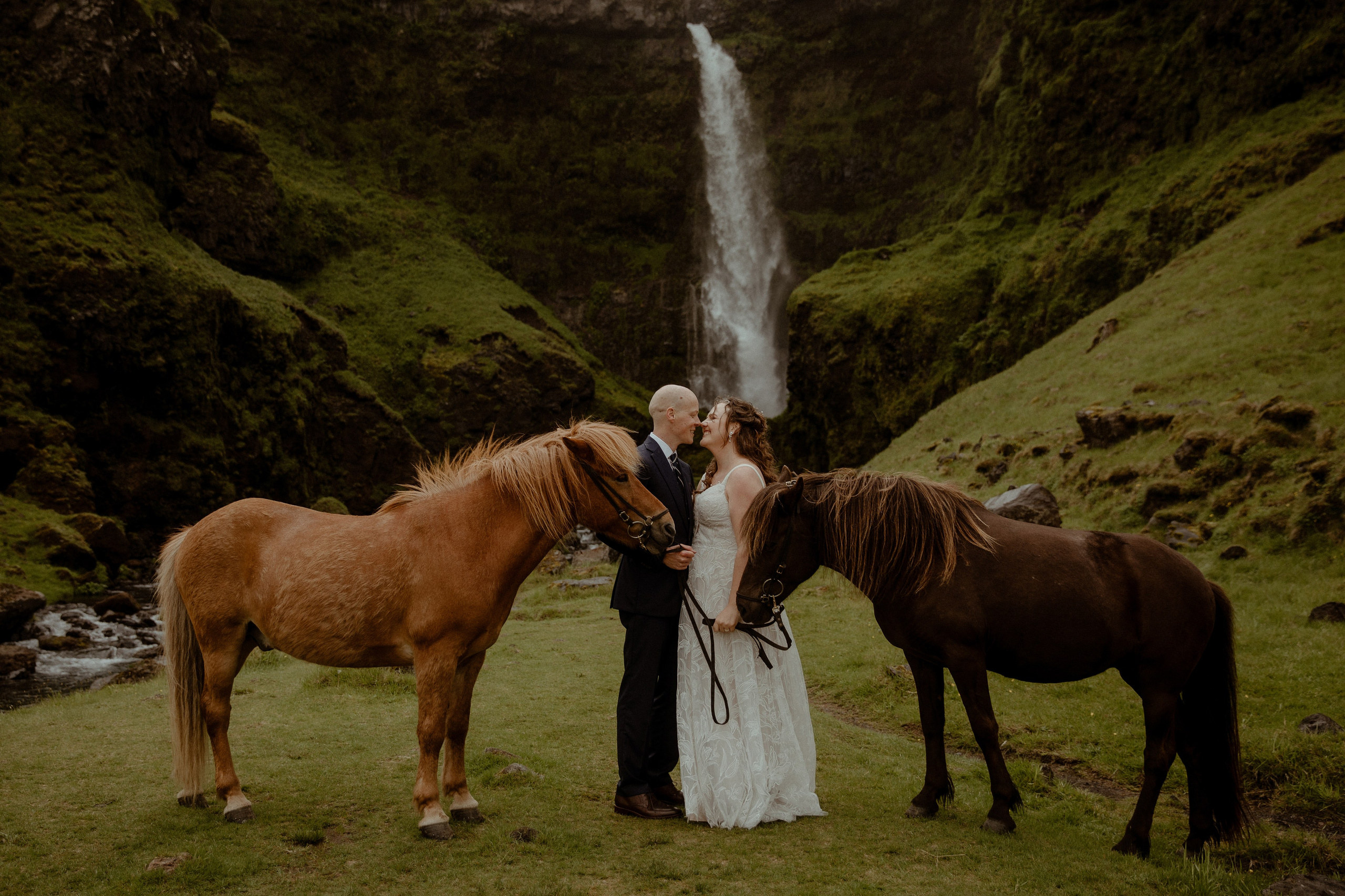 Iceland Elopement at Black Sand Beach. Iceland elopement photographer & videographer