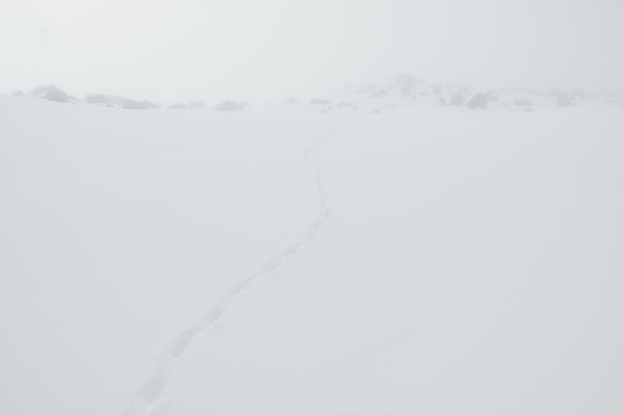 Фотопроект с Эльбруса. Photographer Anastasiya Dubrovina