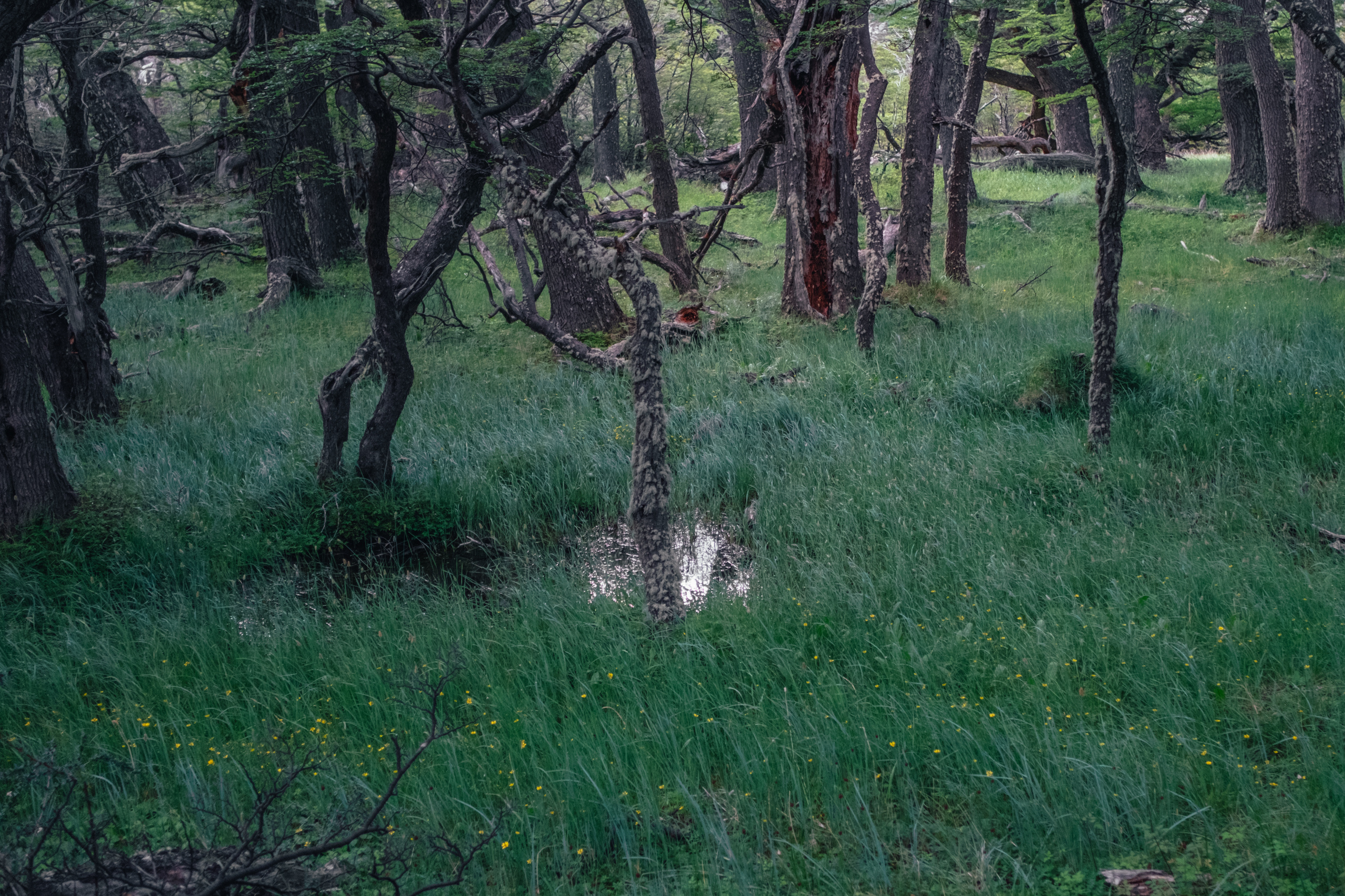 Фотопроект из Аргентины. Photographer Anastasiya Dubrovina