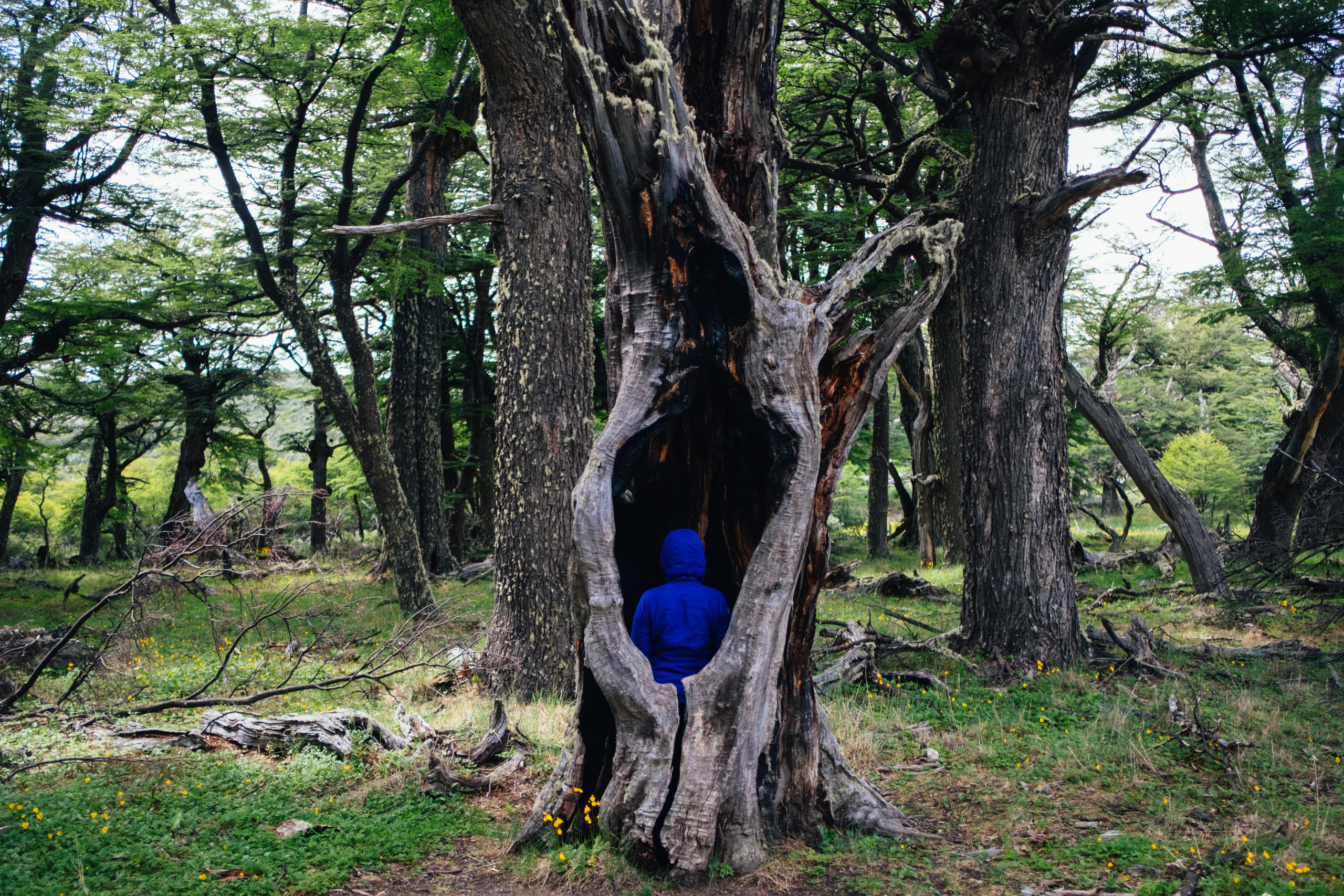 Фотопроект из Аргентины. Photographer Anastasiya Dubrovina