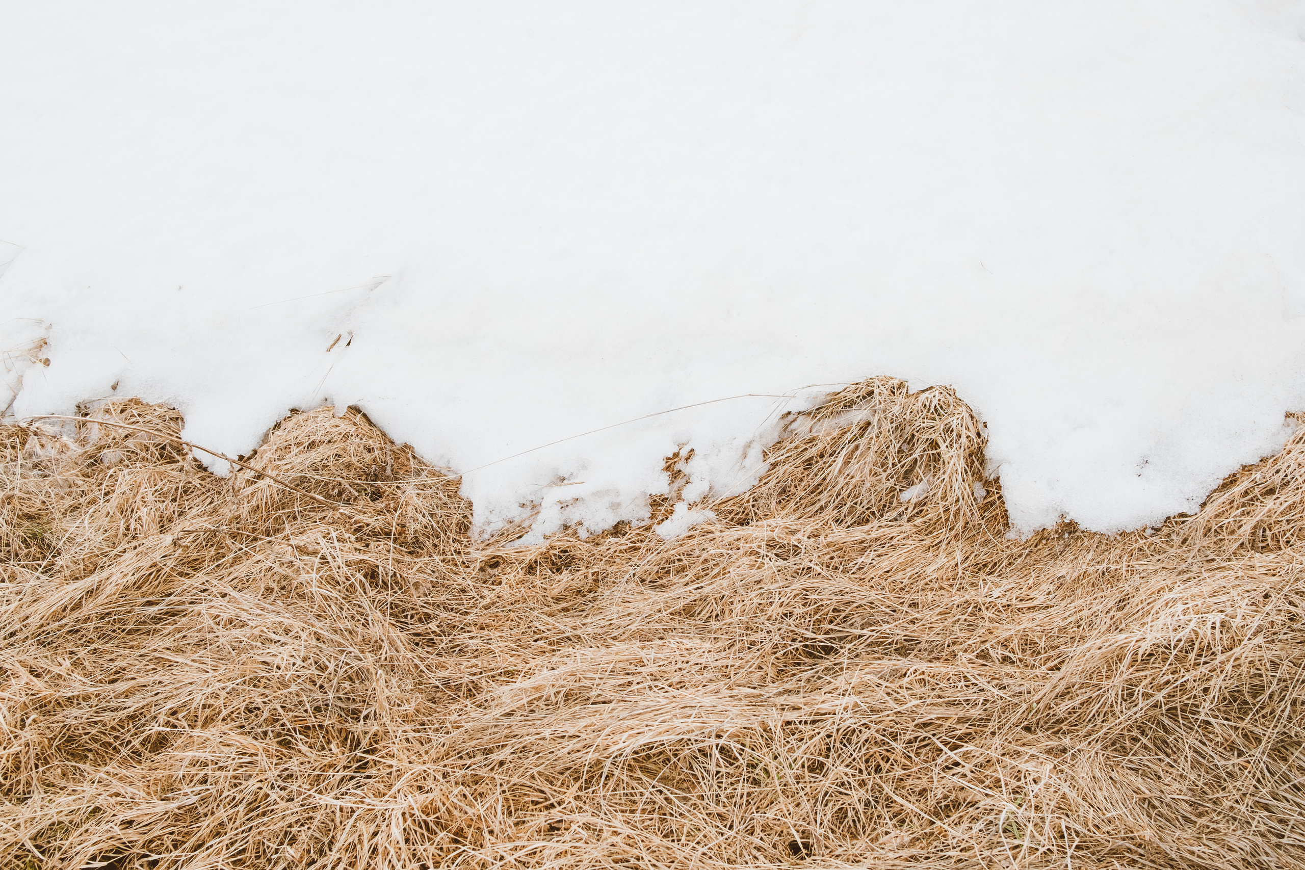 Фотопроект с Эльбруса. Photographer Anastasiya Dubrovina