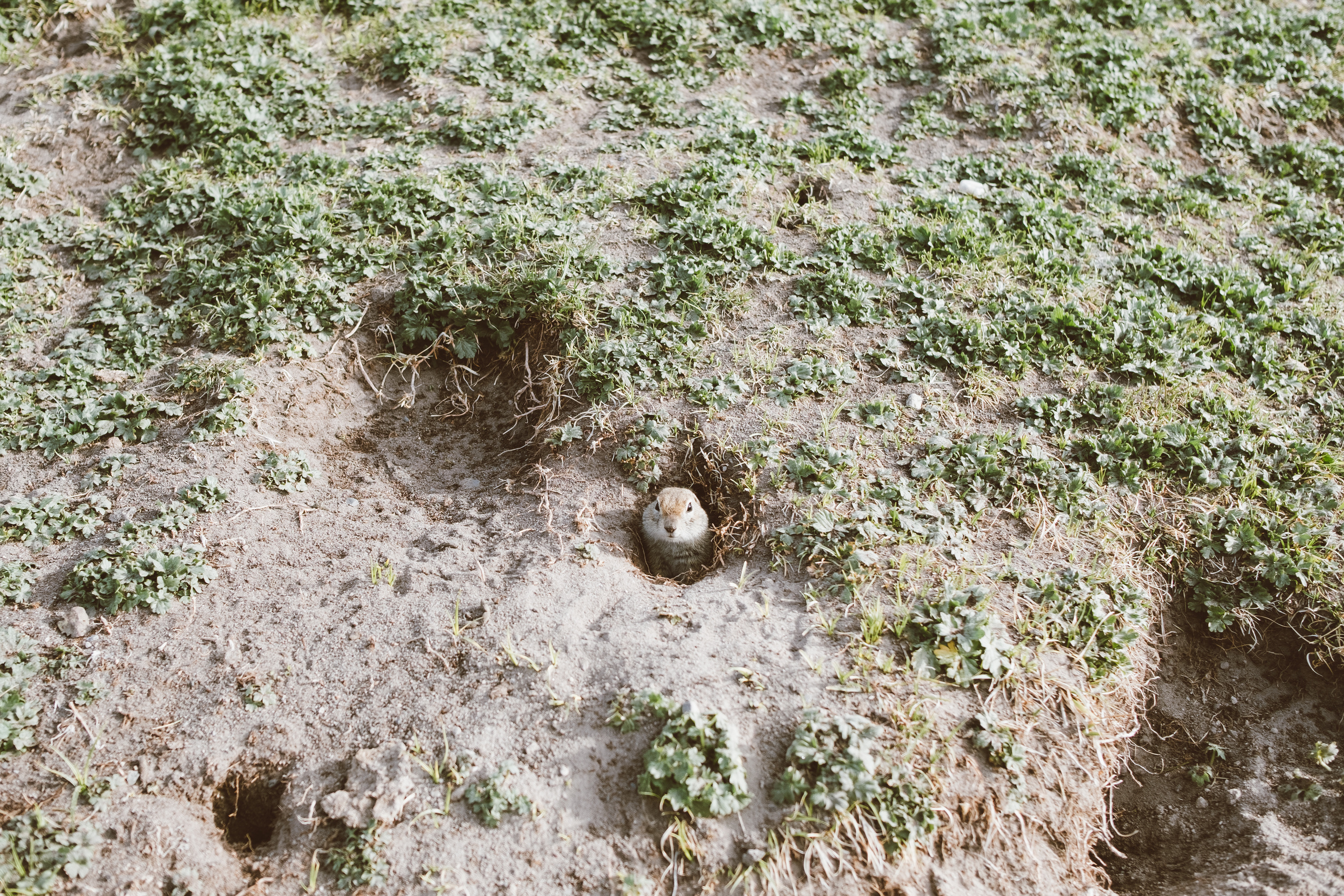 Фотопроект с Эльбруса. Photographer Anastasiya Dubrovina