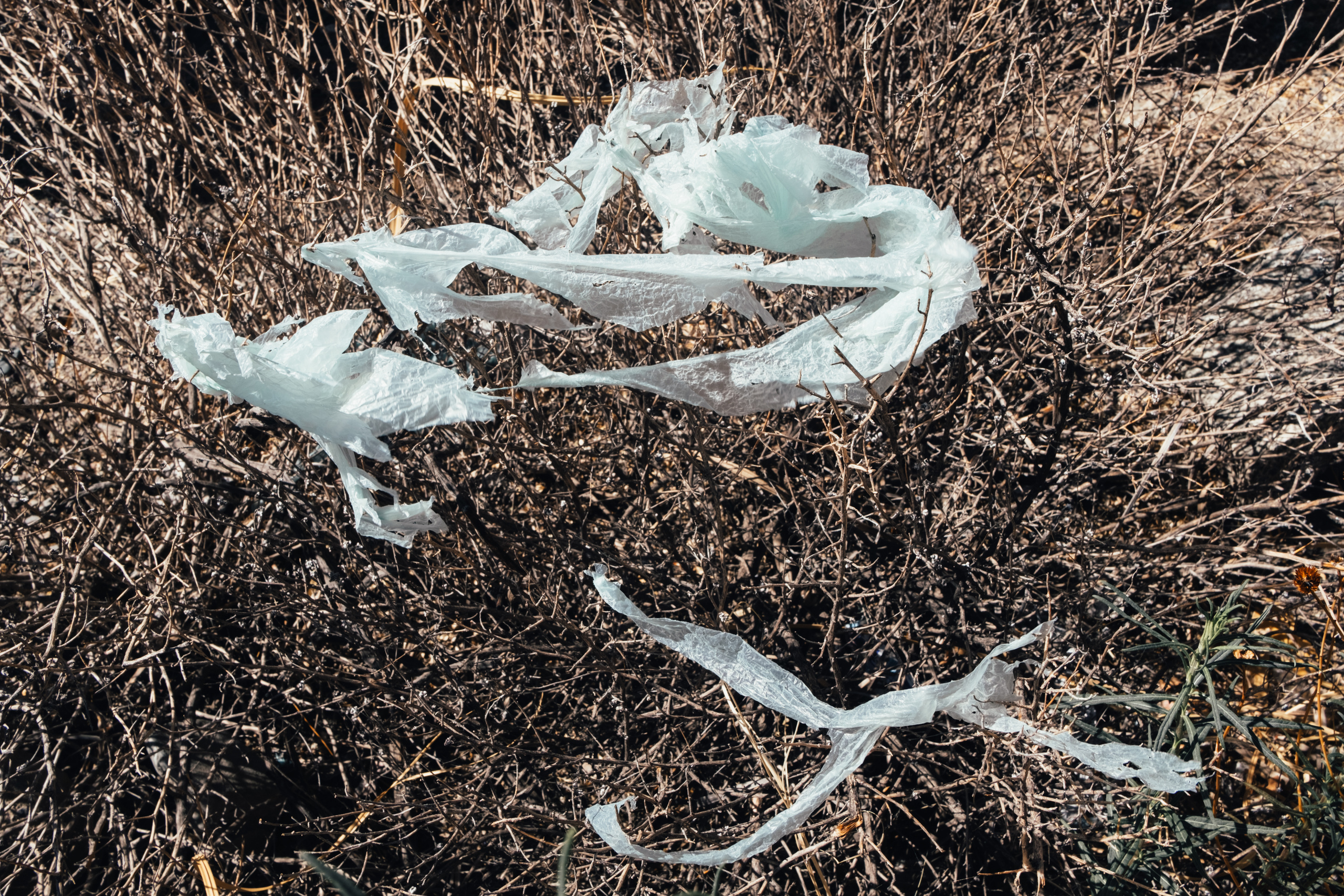 Фотопроект из Аргентины. Photographer Anastasiya Dubrovina