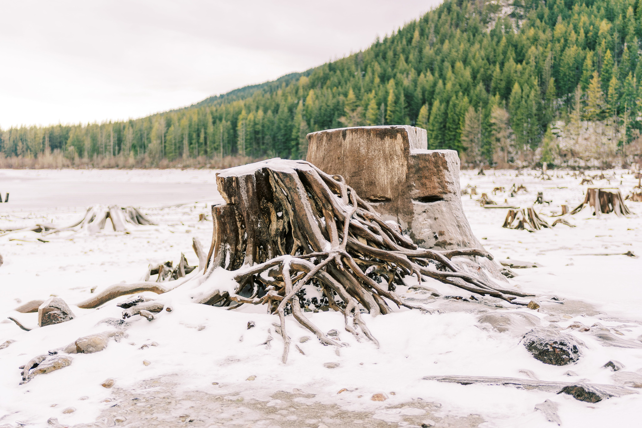 Irina & Bogdan / January 2024. Rattlesnake Lake, WA. EVAN ARISTOV WEDDING PHOTOGRAPHY — Seattle Wedding Photographer