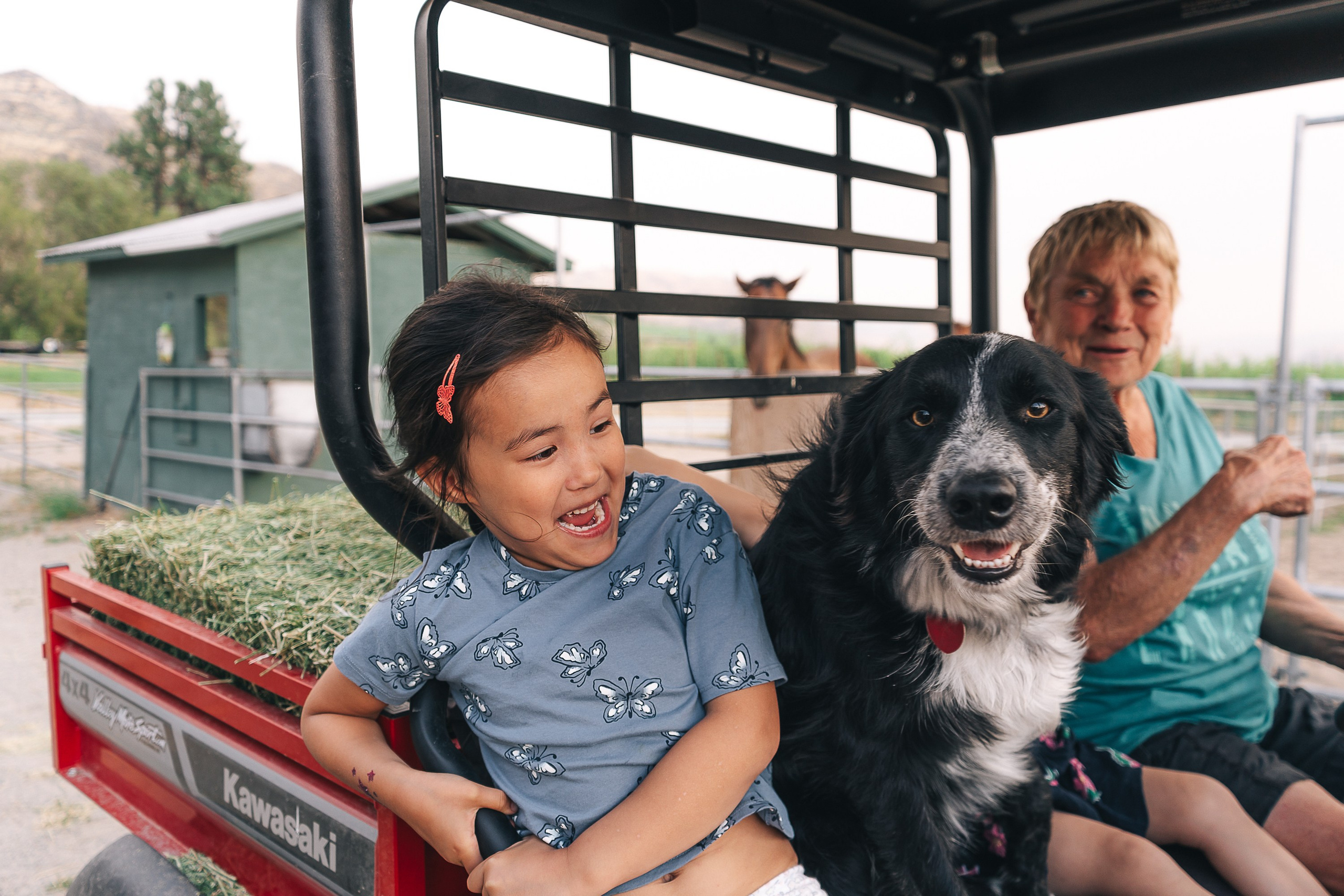 Classic portraits and lifestyleshots, magic moment during a session