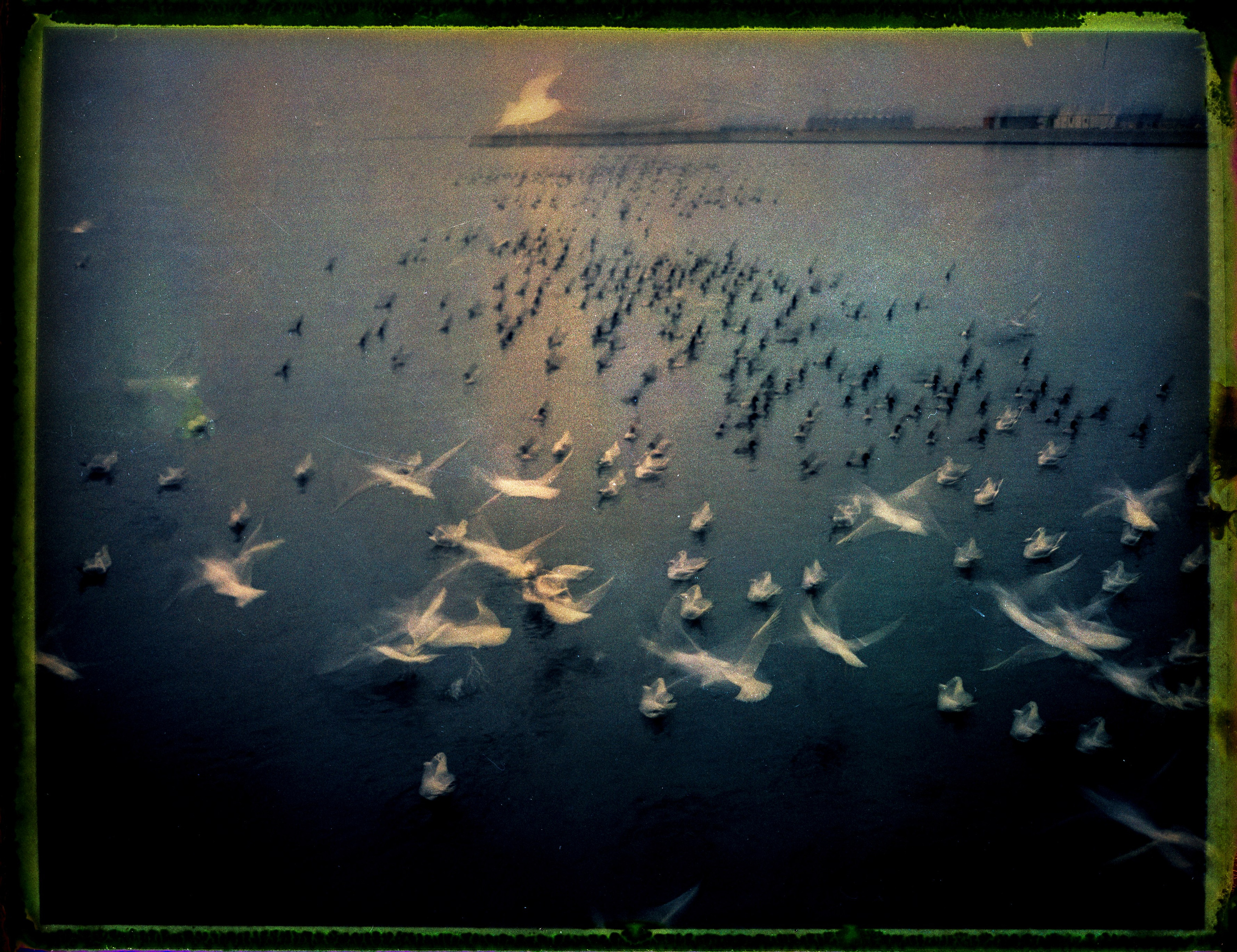 POLAROID. Www.sananaleskerov.com