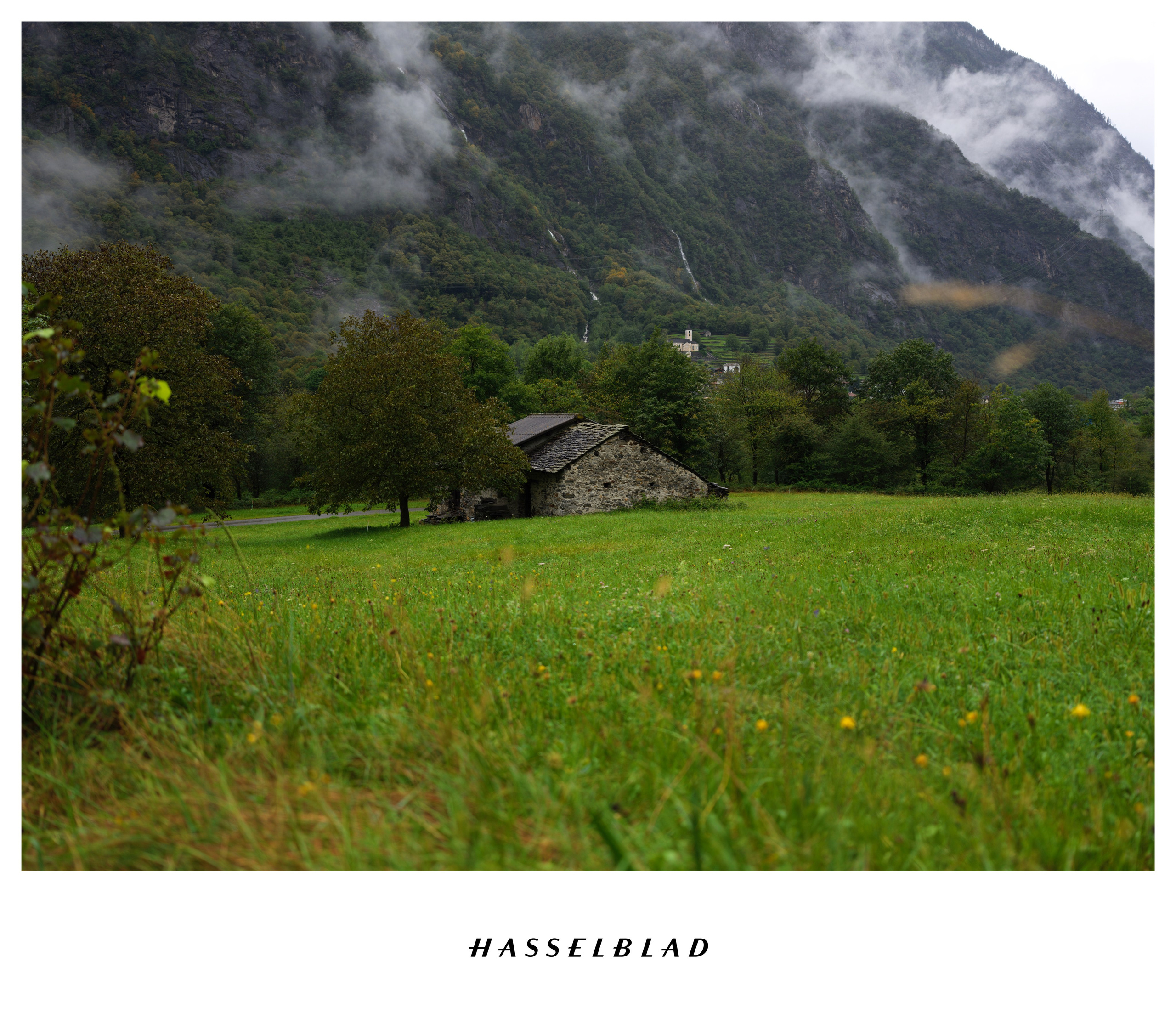 Hasselblad XCD 4/45P. Фотограф | Ретушер Штуттгарт — Vitali Beidel