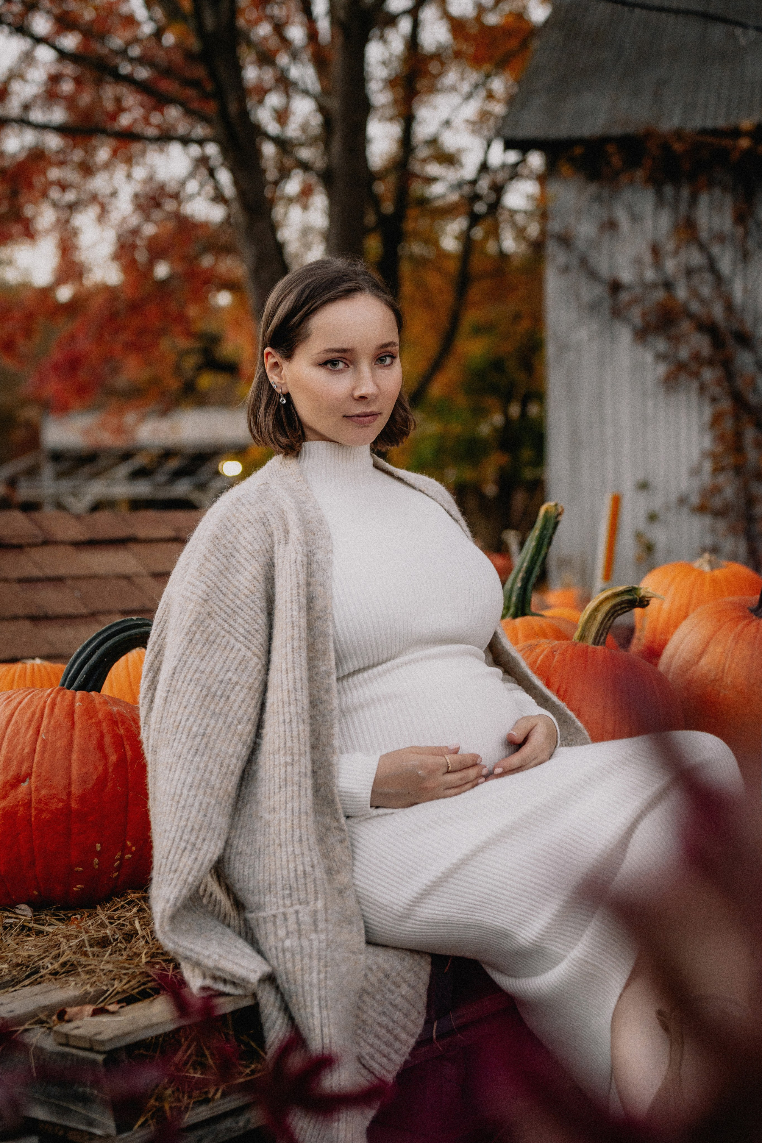 Fall Maternity Photography – Golden Autumn & Apple Orchard Magic. Alisa Tant — Family and newborn photographer Bucks County, Montgomery county, Philadelphia, NJ