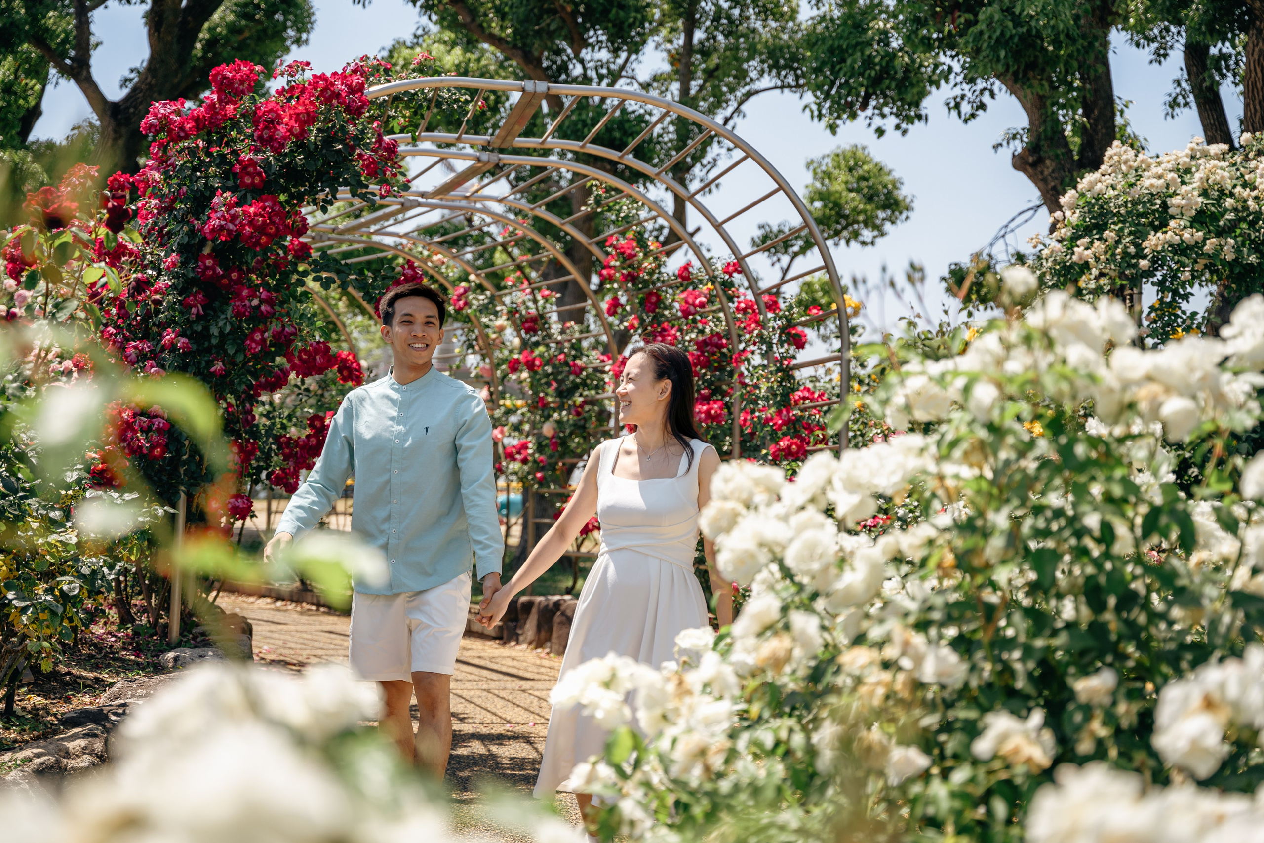Fukuoka Couple Photoshoot: Roses, Totoro Forest & Sunset Love Story