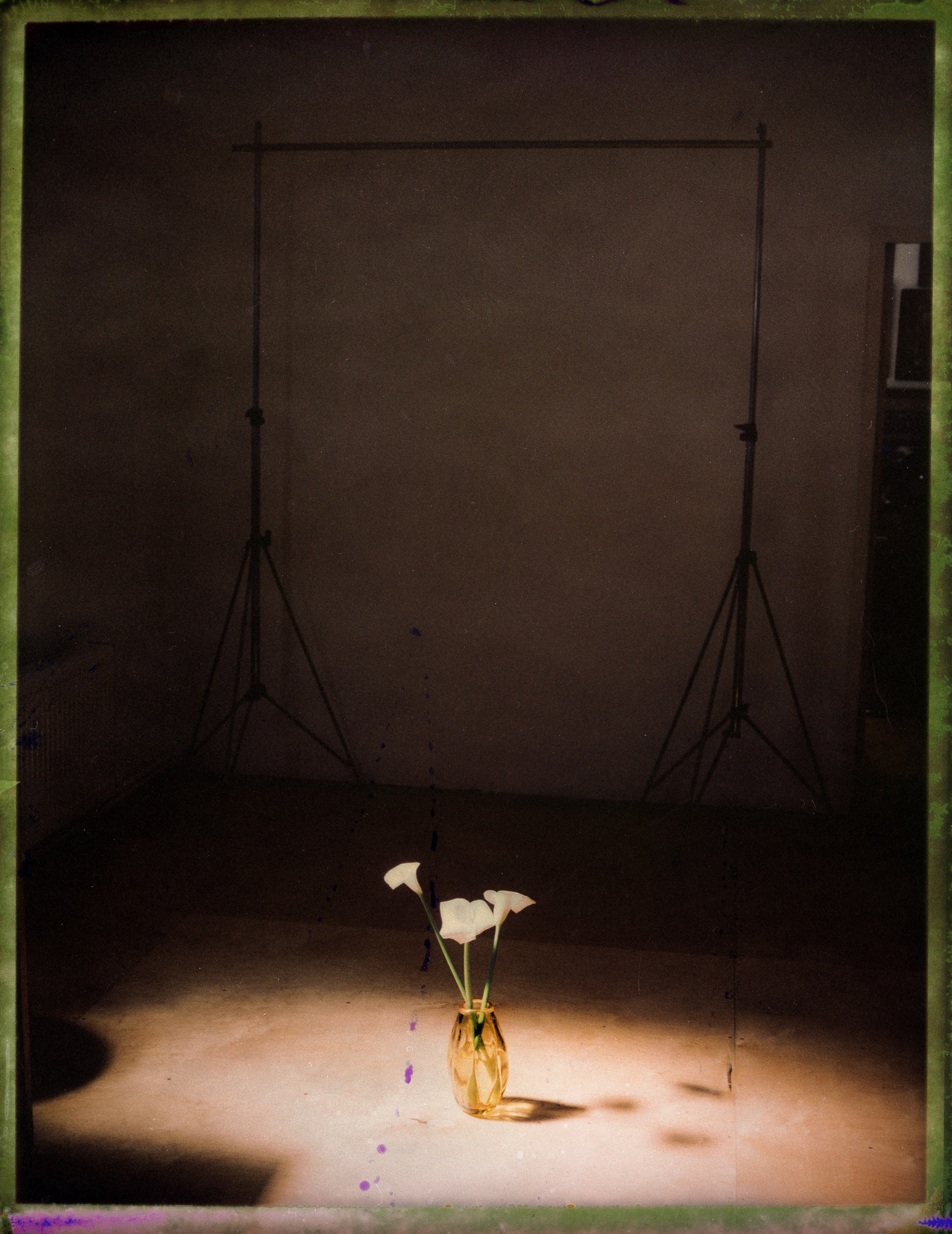 POLAROID. Www.sananaleskerov.com