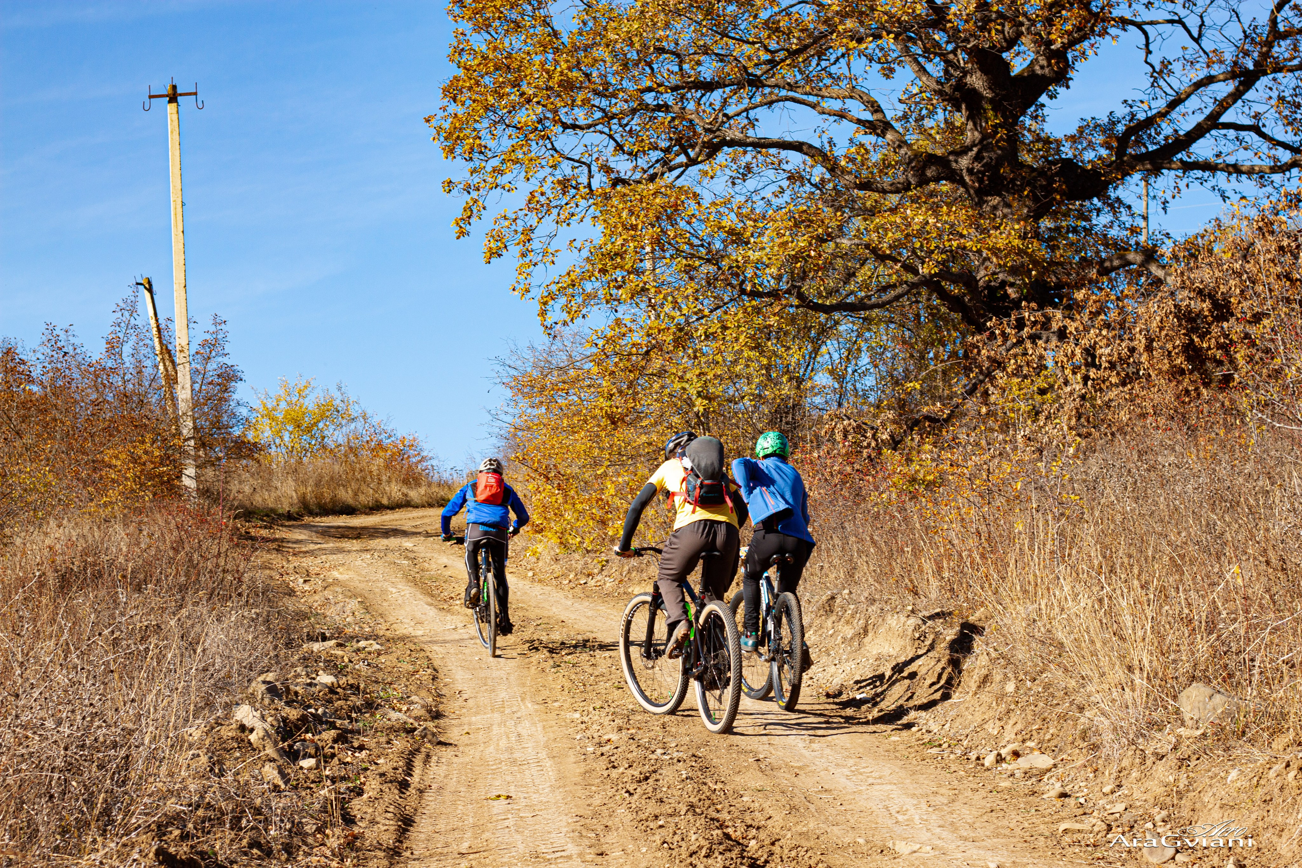 ჰიპოველოს შემოდგომის ველოტური წვერში. FramefreeMan