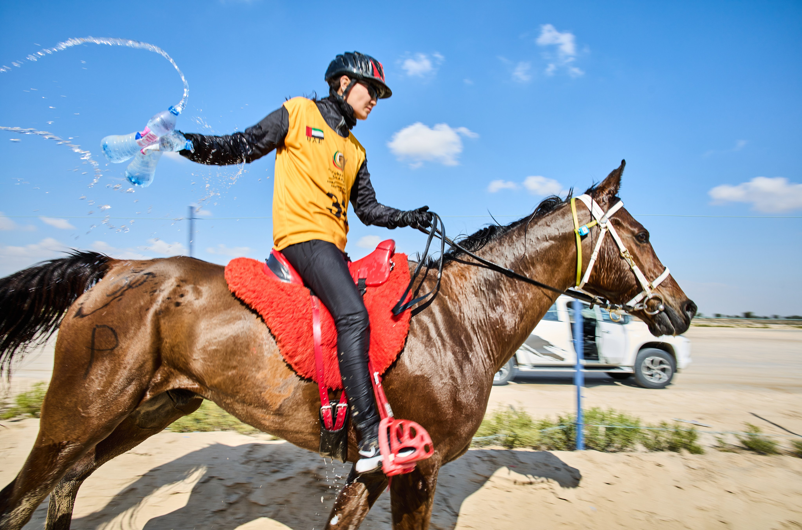 ENDURANCE HORSE RACING. Grigoriy Yaroshenko photography | Фотограф Григорий Ярошенко