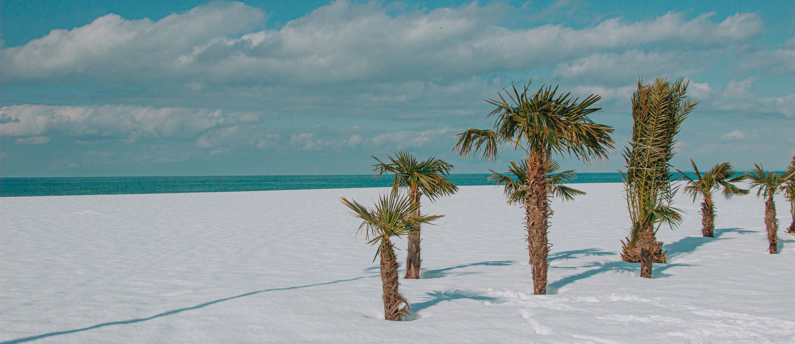 «Графика / Батуми» (2025). Художник живописец Савелова Ольга