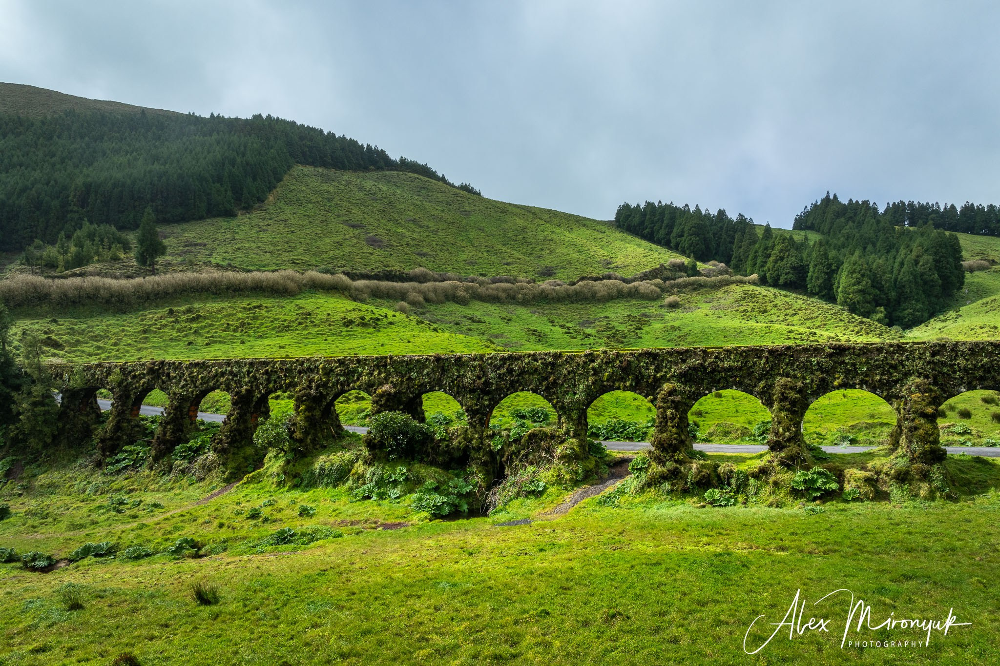 Azores And Madeira. Alex Mironyuk Photography