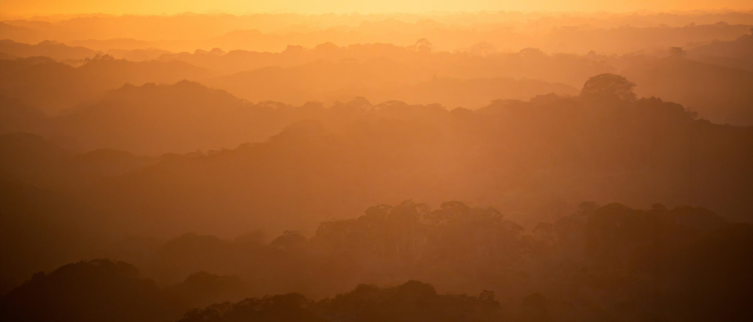 Nature photographer Yuri Soria-Galvarro