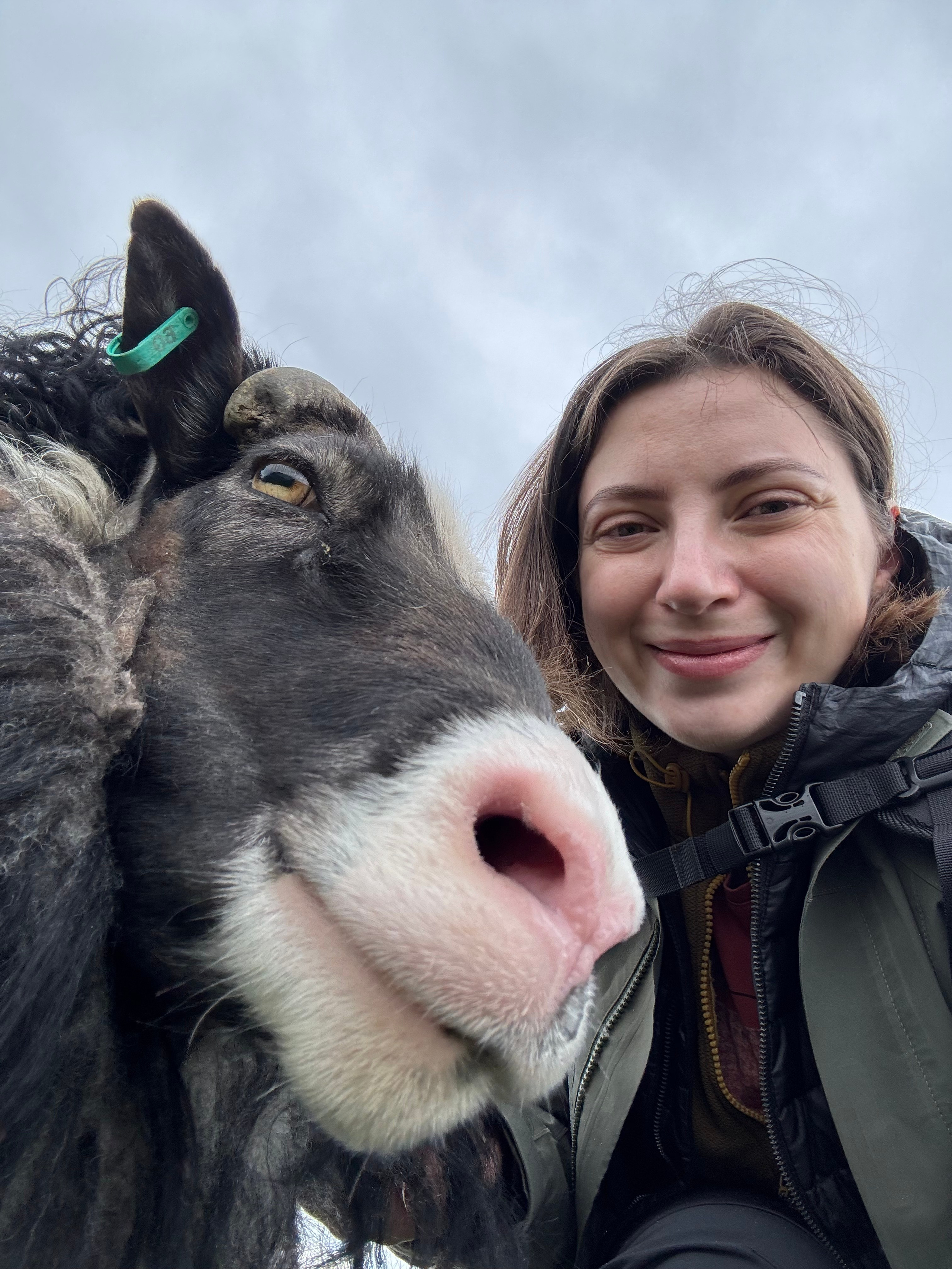 The story of Iceland elopement wedding photographer. Iceland elopement photographer & videographer