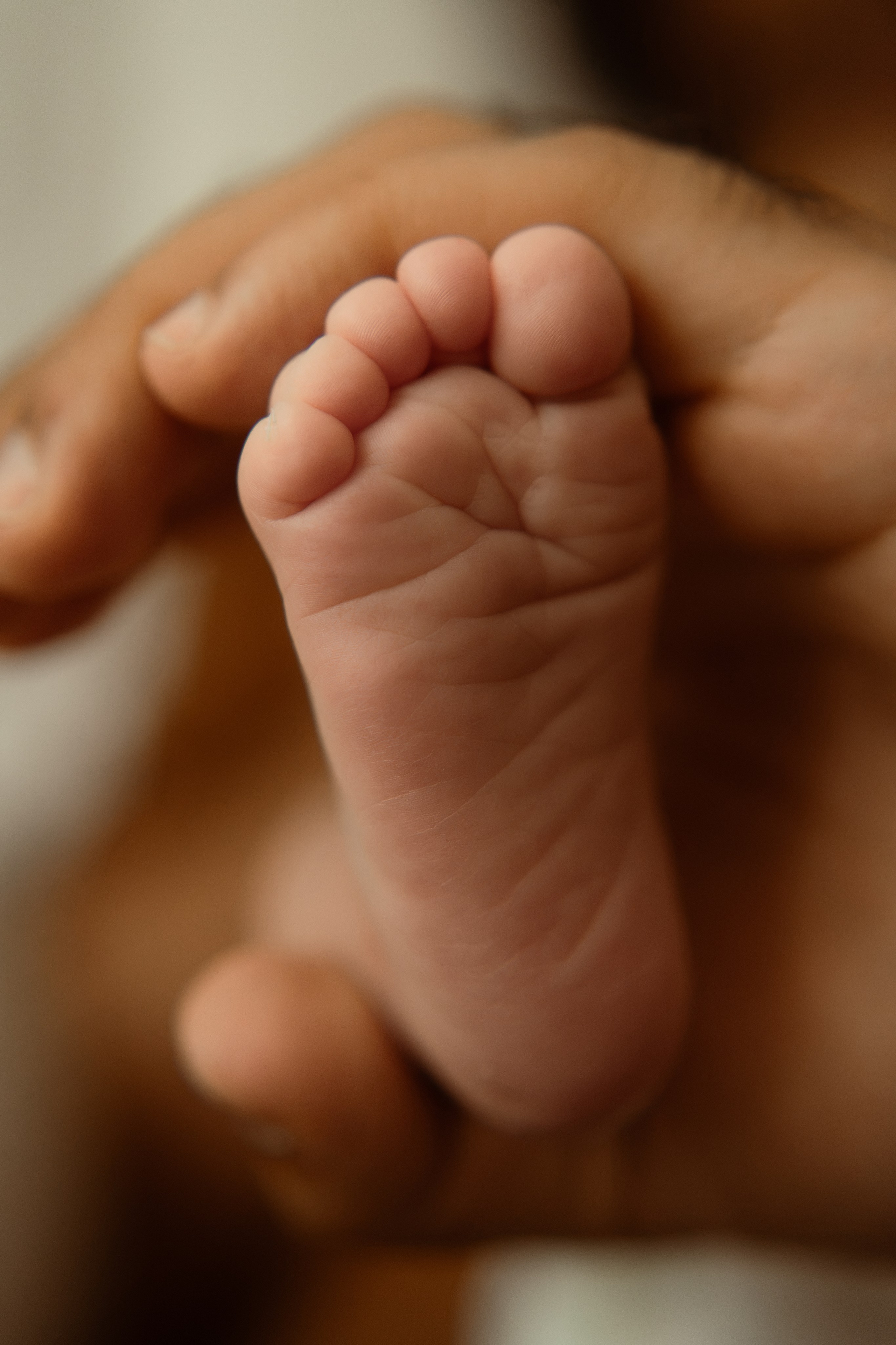 In-Home Newborn Photos in New London, CT | Connecticut Newborn Photographer