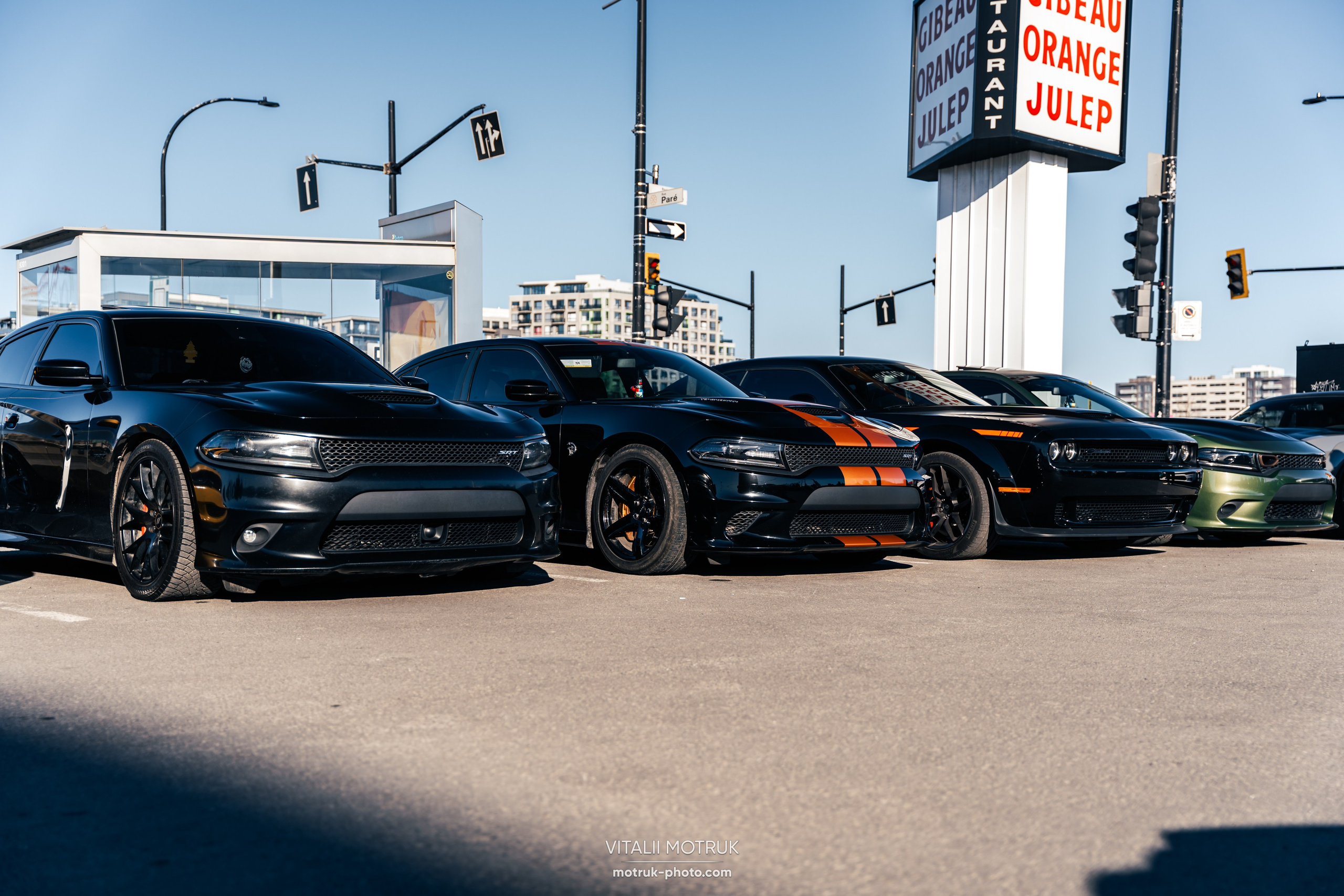 Rassemblement Julep. Photographer in Paris — Vitalii Motruk