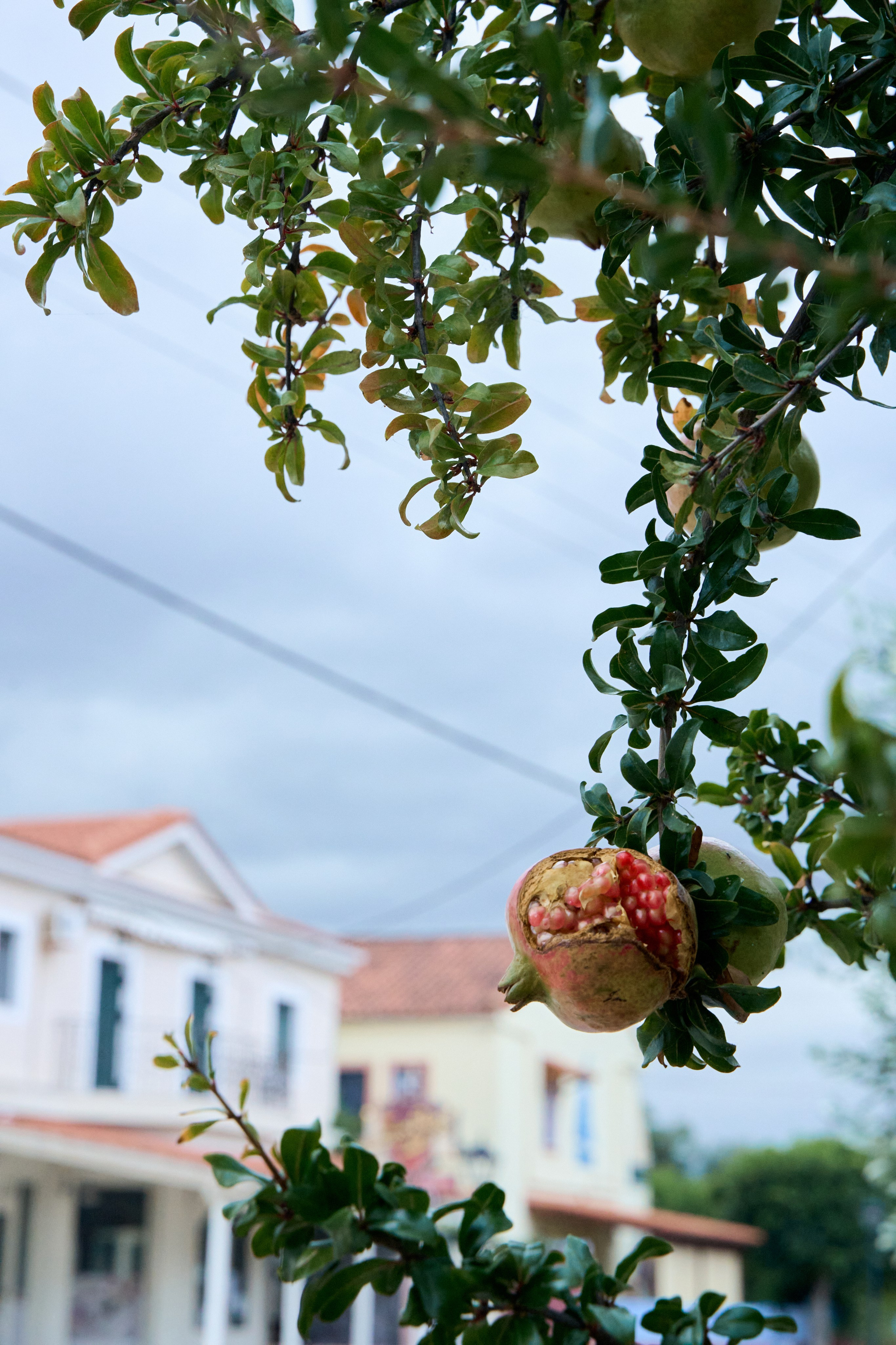 Моими глазами. Привет, давай знакомиться