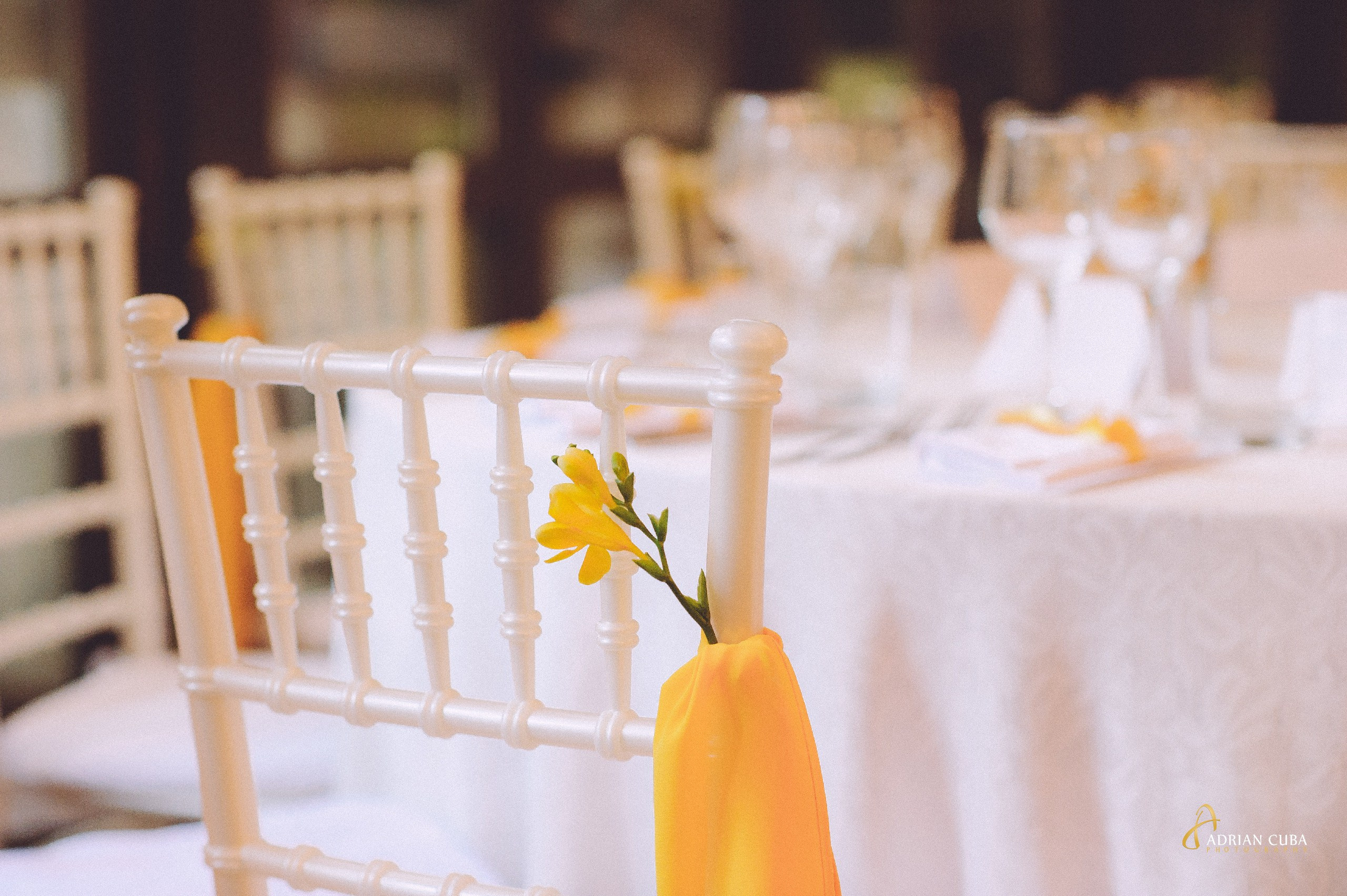 Fotograf nunta Iasi | Adrian Cuba — servicii profesionale de fotografie de nunta