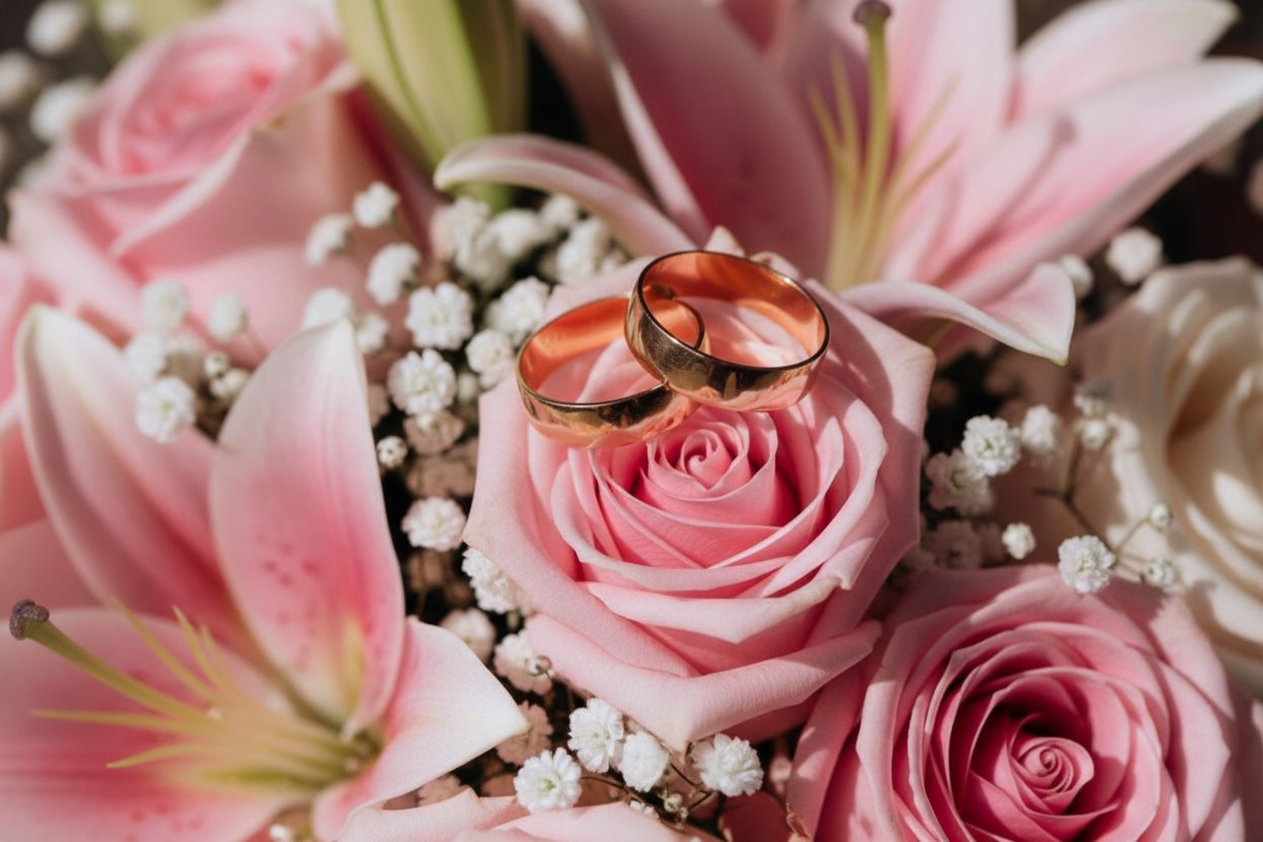 Reportage. Fotografin in Dresden – Schwangerschaft, Familie & Kinder | Tatiana Mudryak