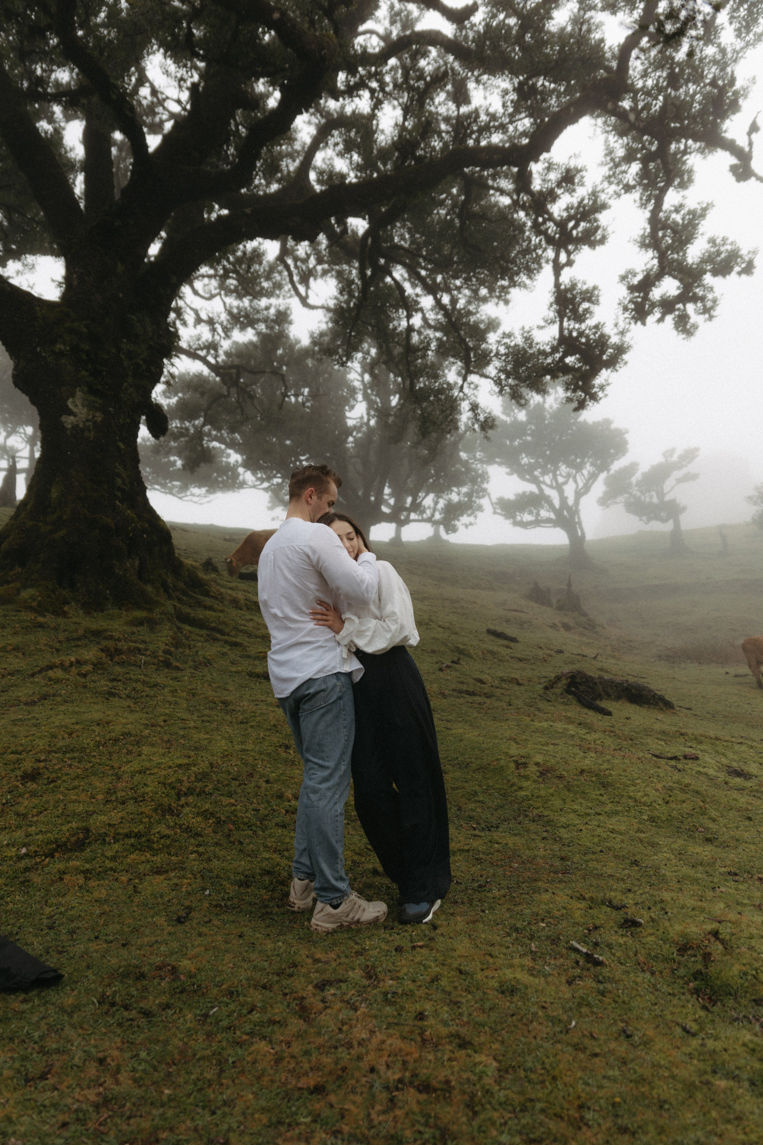 Magic of Fanal Forest. Wedding photographer and videographer based in Timisoara, Romania
