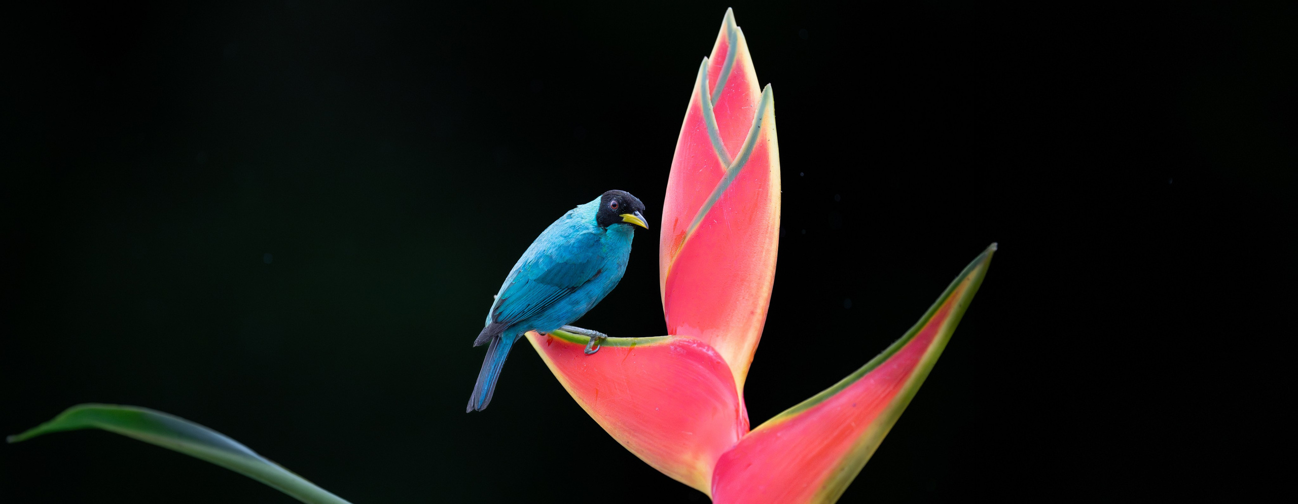 Nature photographer Yuri Soria-Galvarro