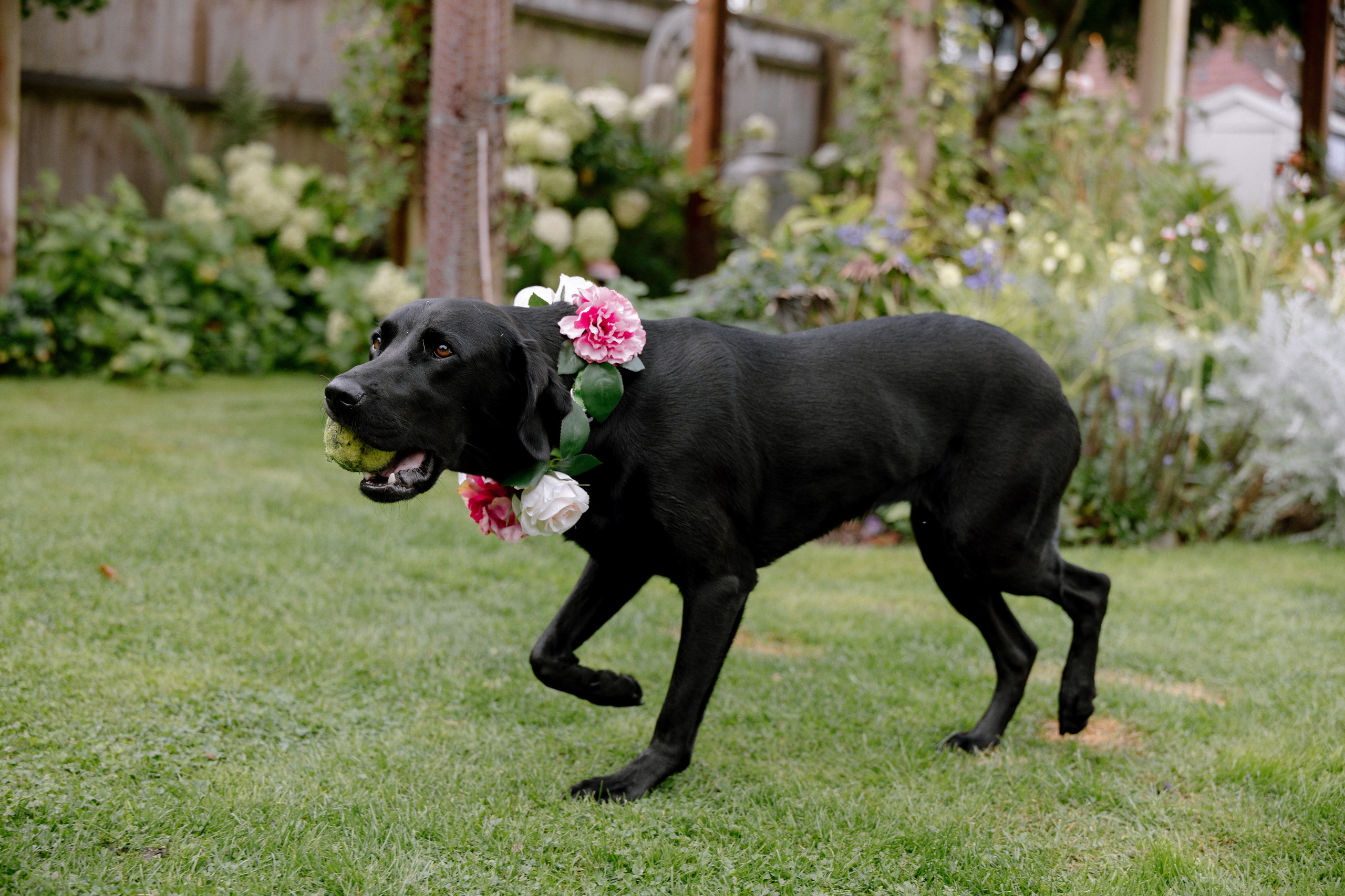 Intimate and emotional wedding. Timeless Wedding & Event Photography from London to the world