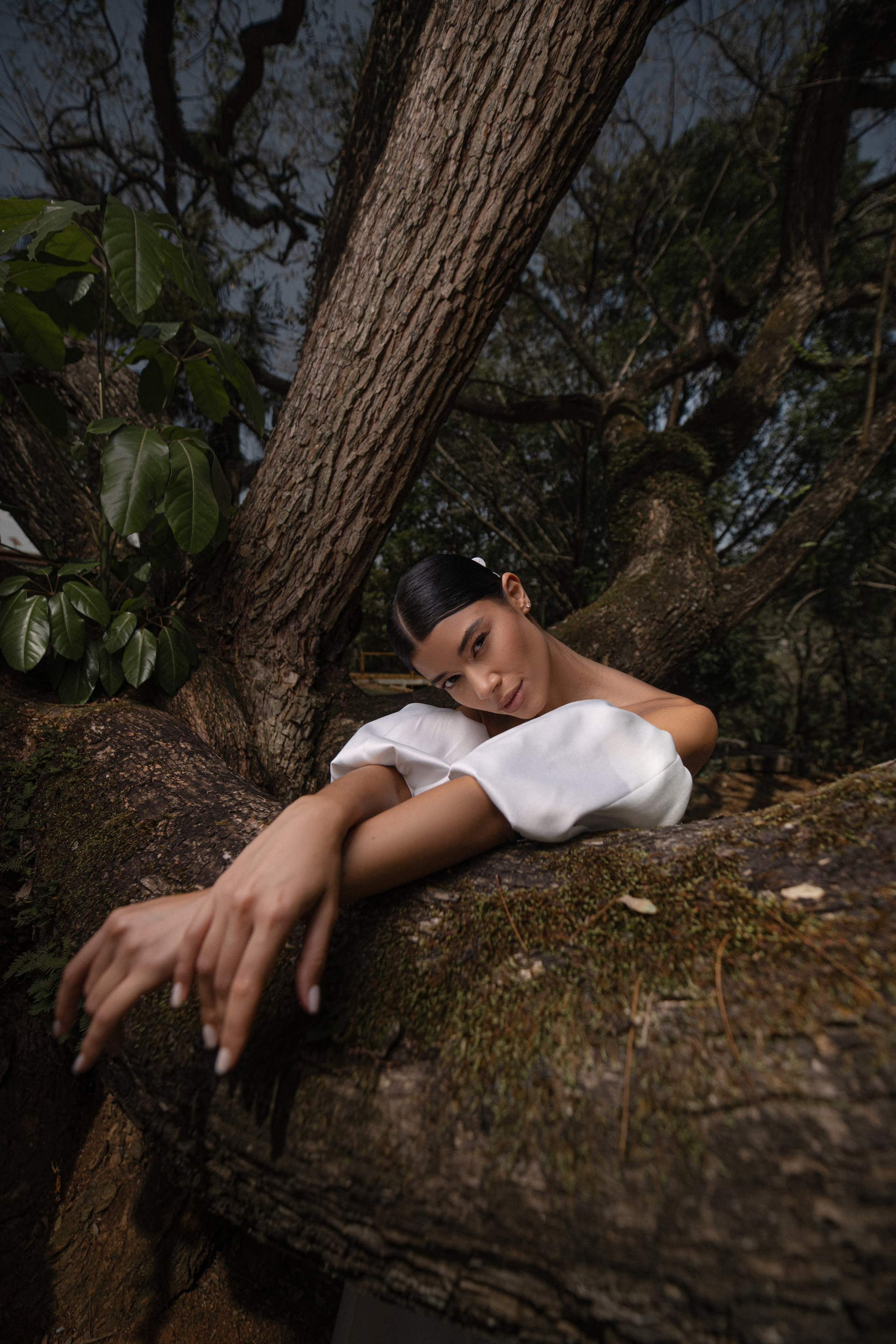 Fotógrafo de Casamento, grávida, Retrato, Corporativo